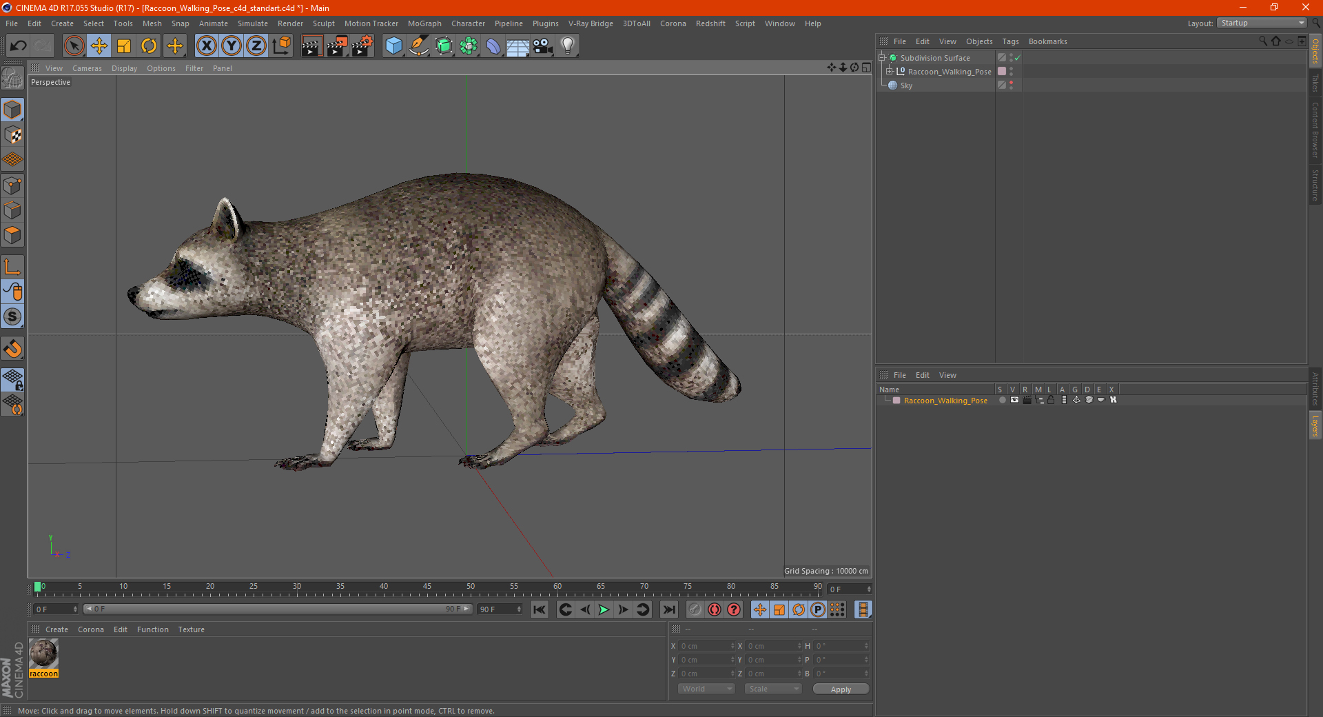 3D model Raccoon Walking Pose