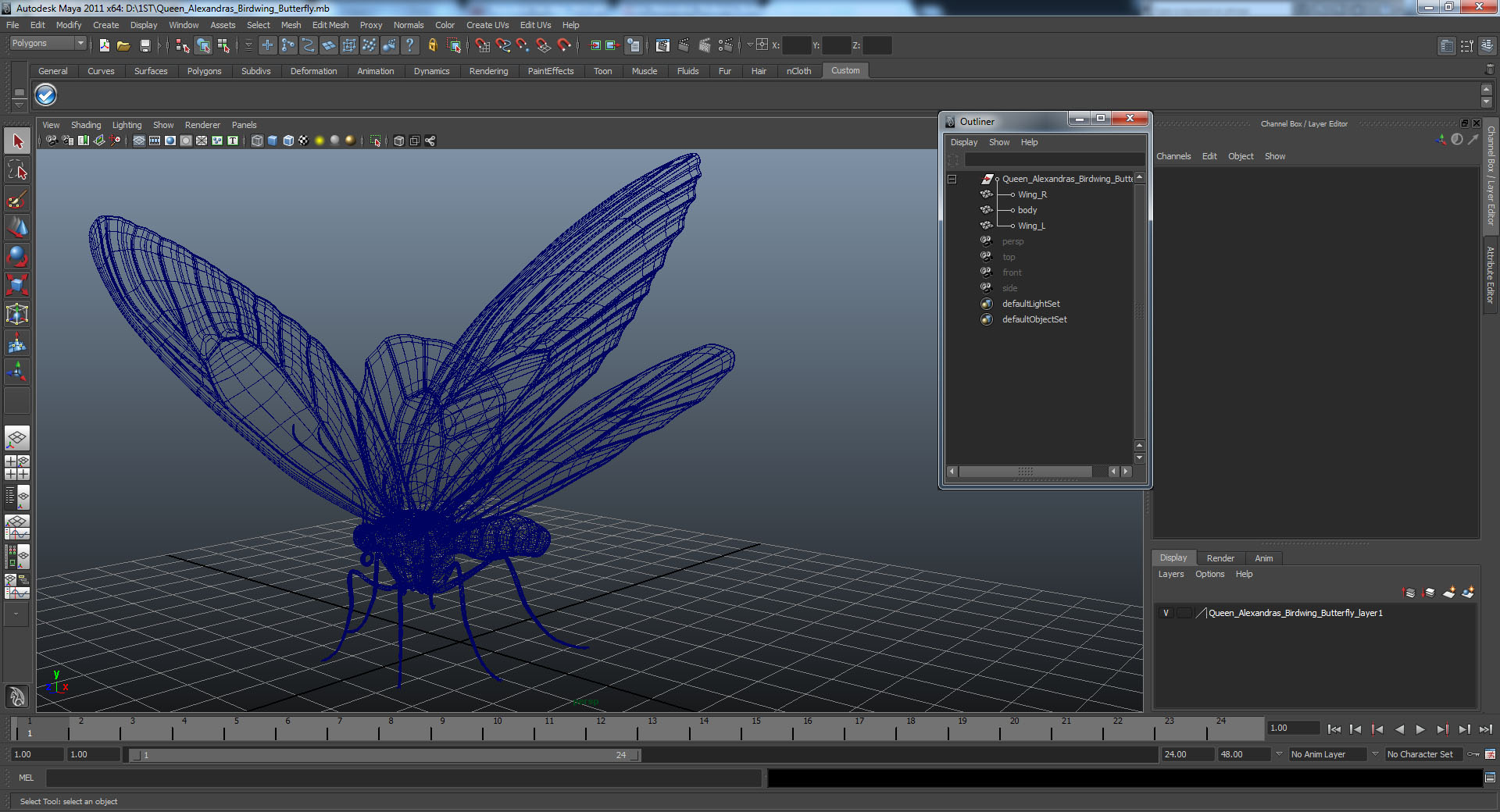 3D model Queen Alexandras Birdwing Butterfly