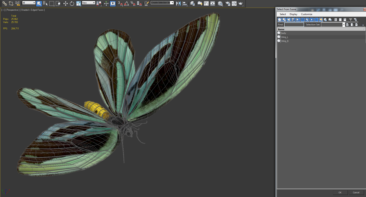 3D model Queen Alexandras Birdwing Butterfly