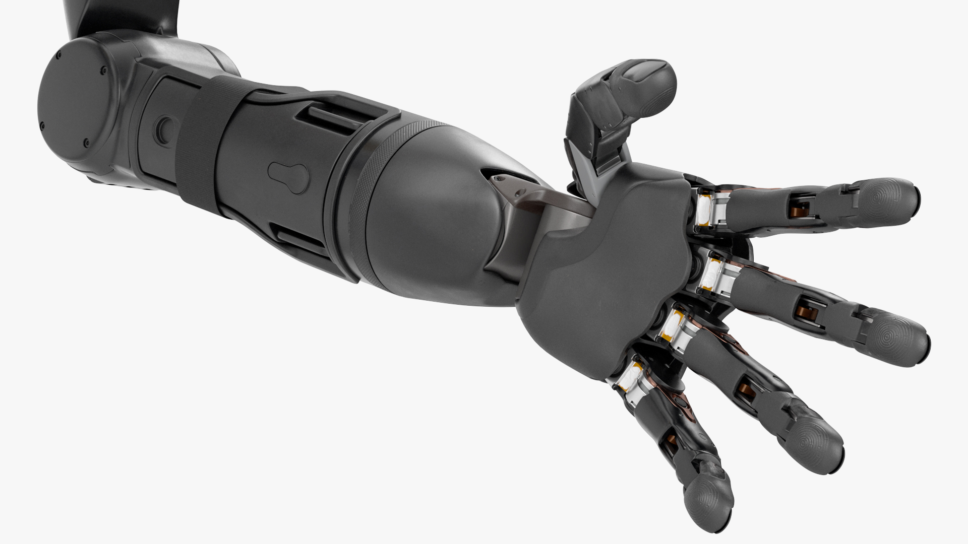 Modular Prosthetic Limbs 3D model