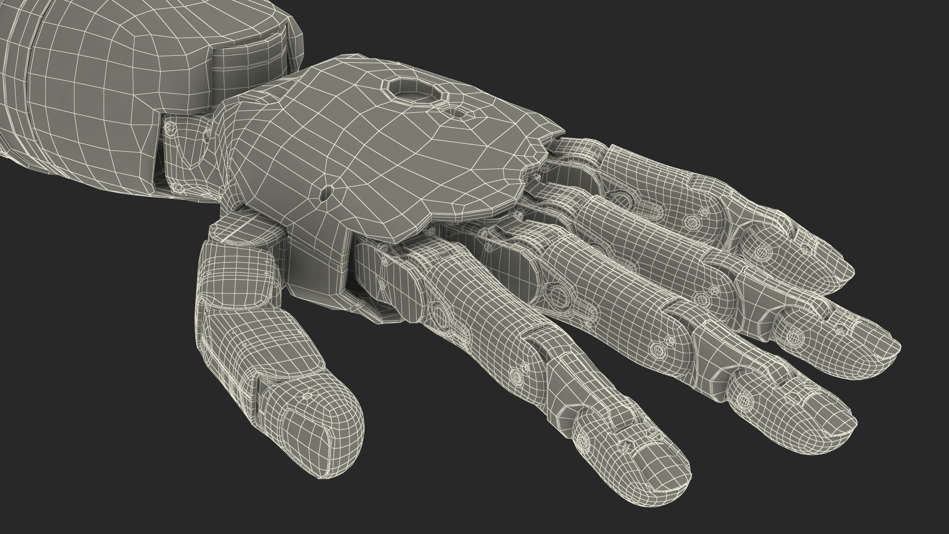 Modular Prosthetic Limbs 3D model