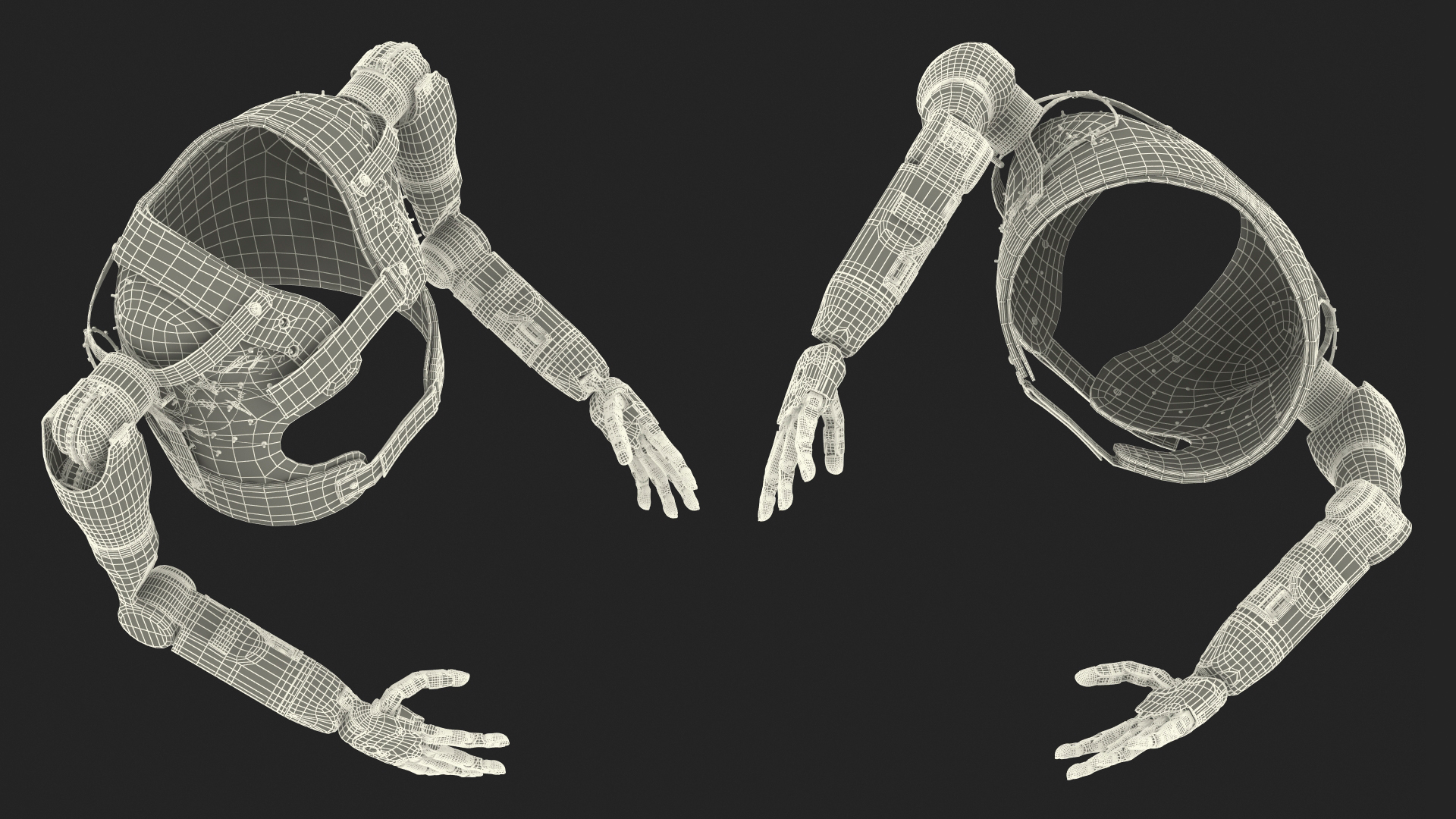 Modular Prosthetic Limbs 3D model