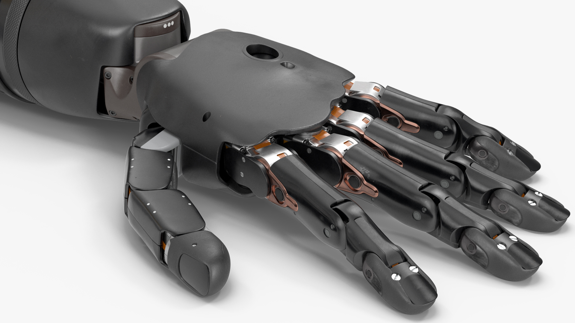 Modular Prosthetic Limbs 3D model