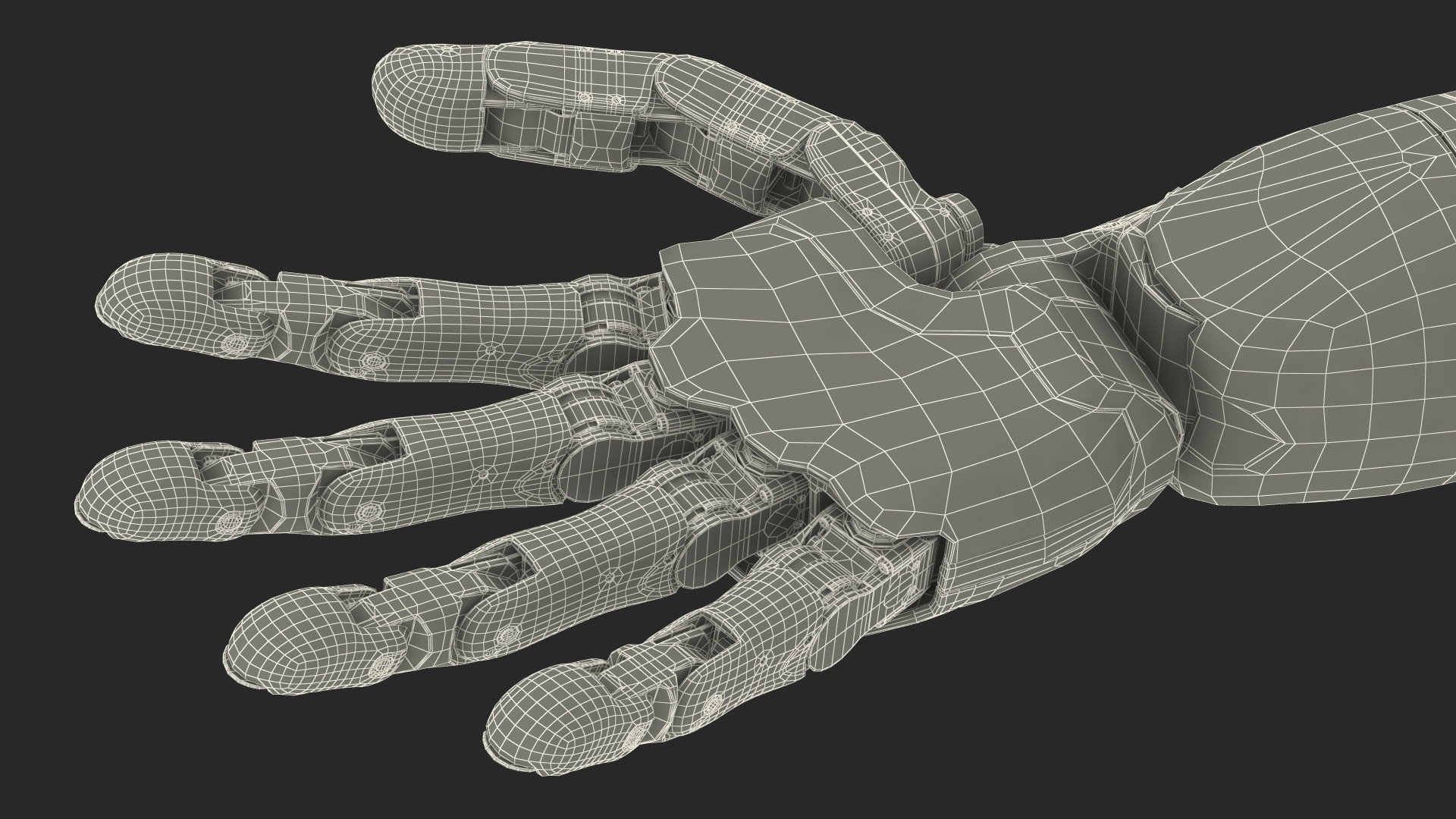 Modular Prosthetic Limbs 3D model