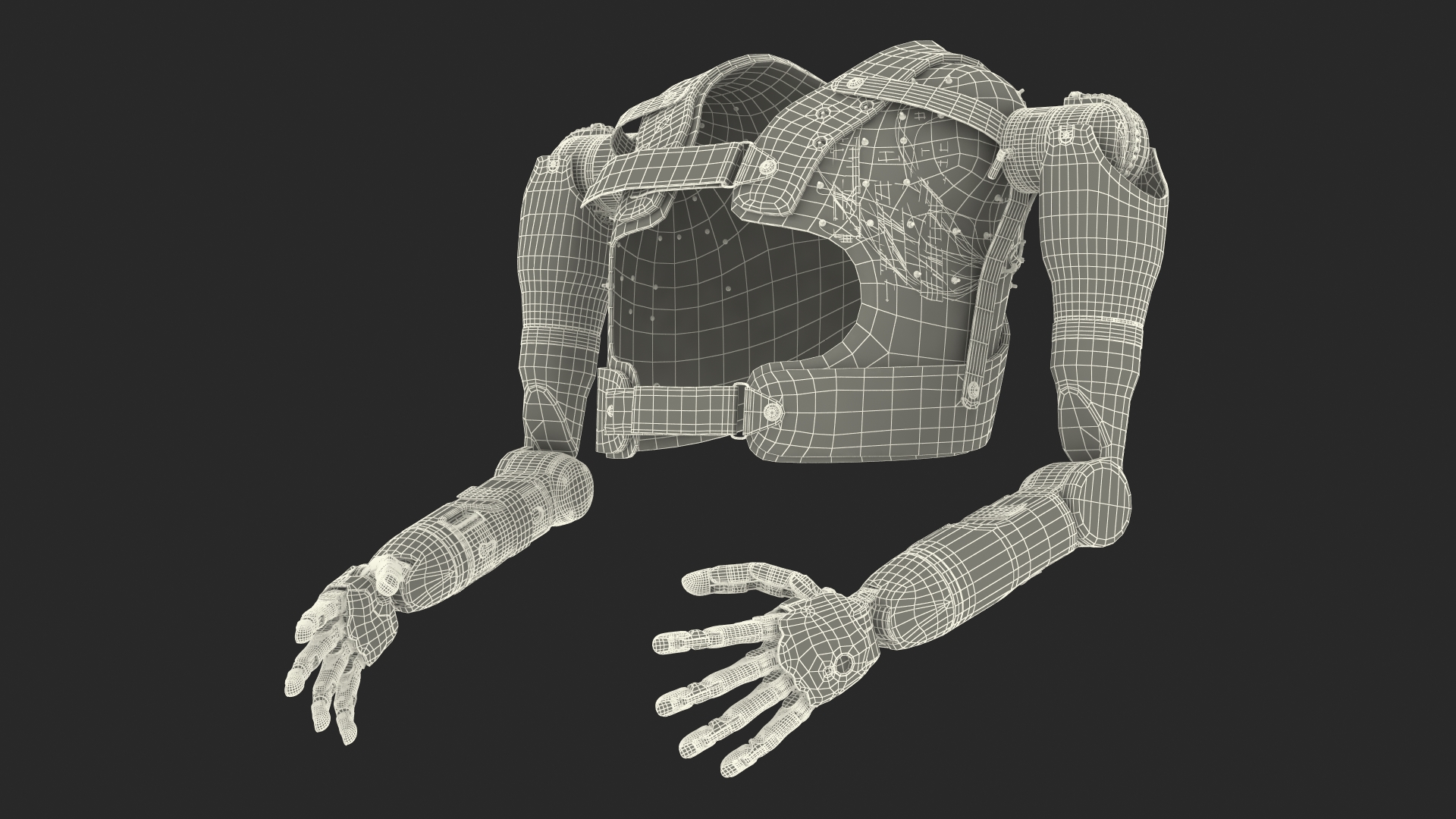 Modular Prosthetic Limbs 3D model