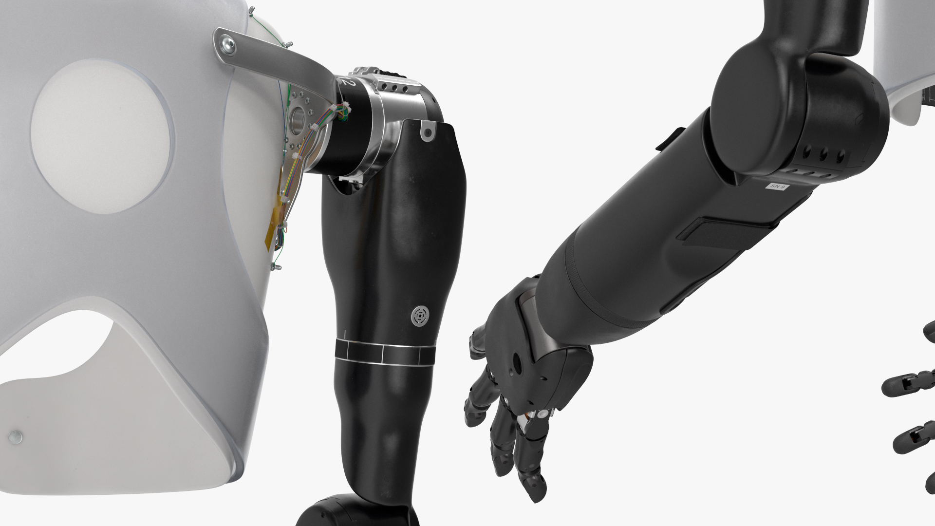 Modular Prosthetic Limbs 3D model