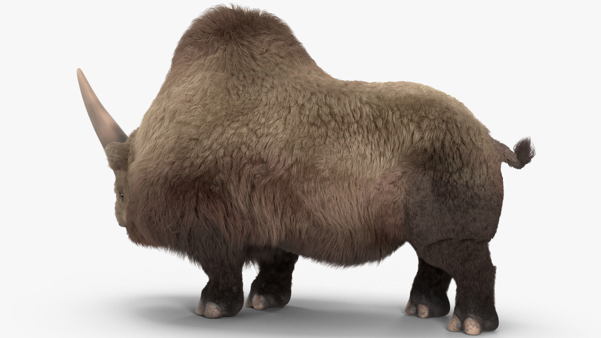 3D Siberian Unicorn Walking Pose Fur model