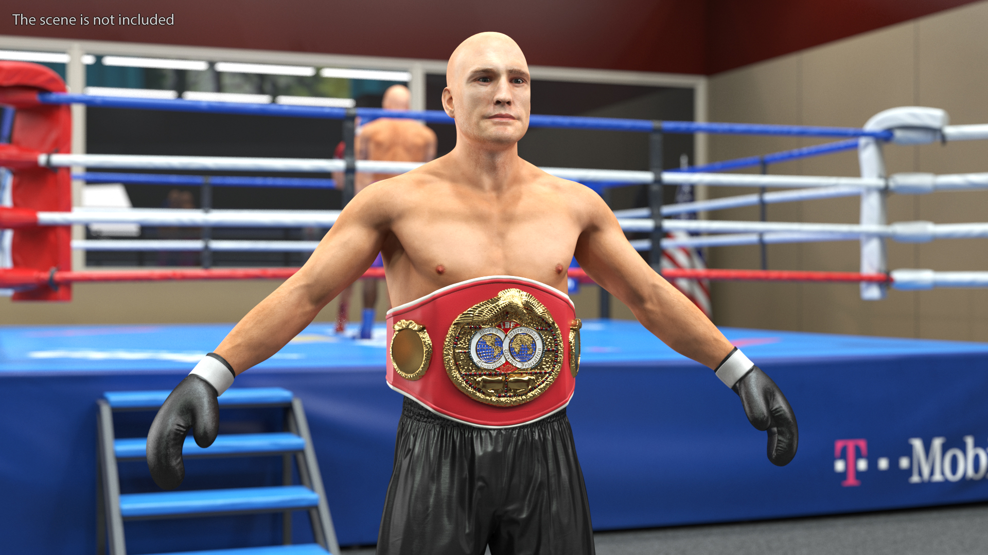 3D IBF Boxing Champion Rigged