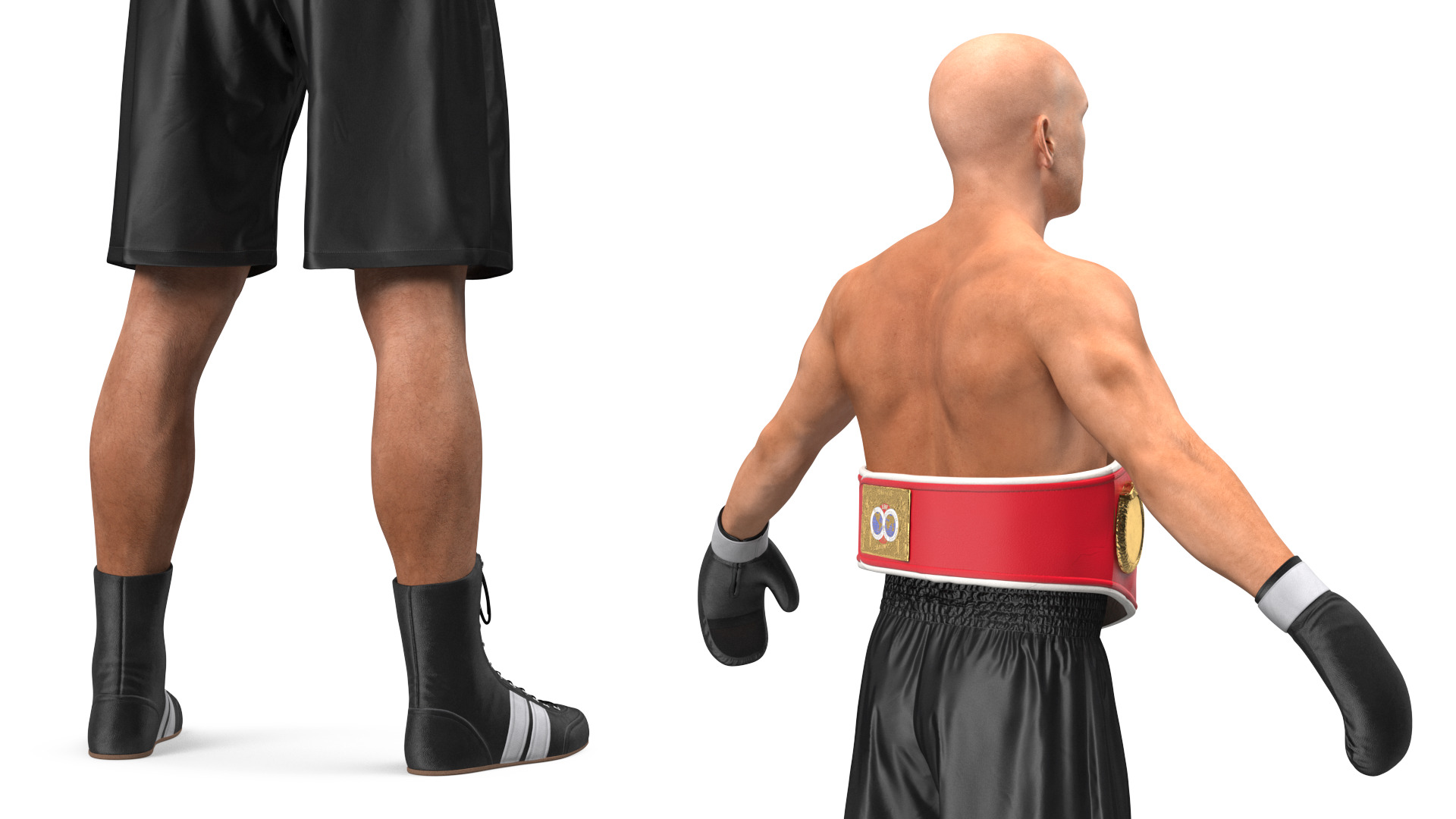 3D IBF Boxing Champion Rigged