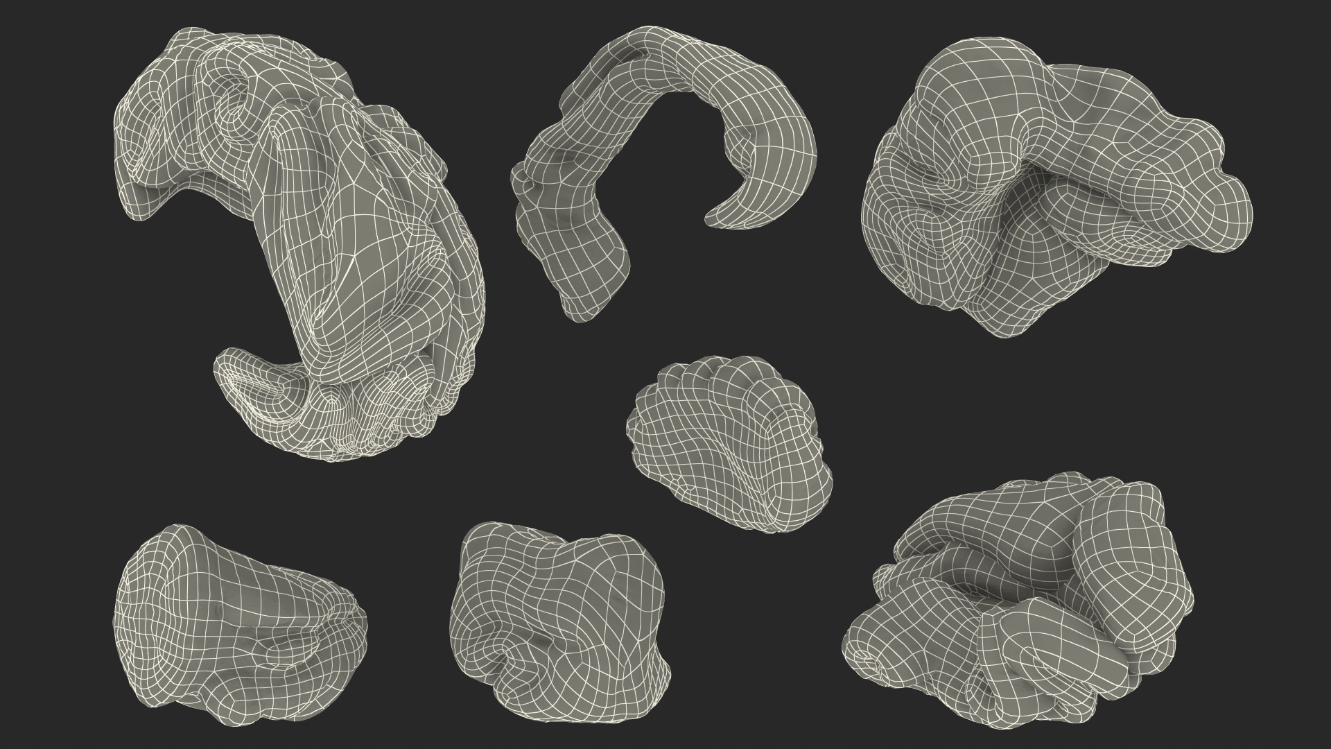 Human Brain Left Hemisphere 3D