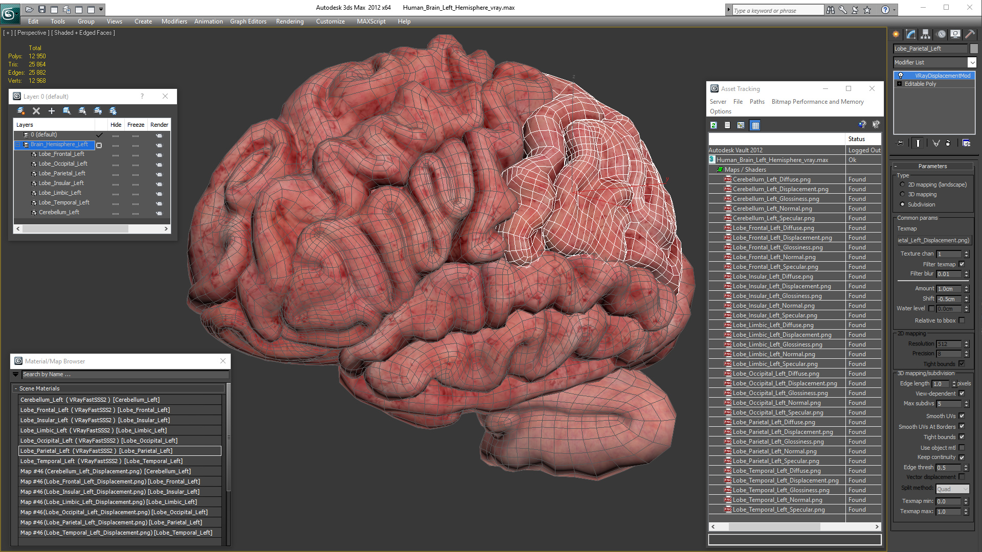 Human Brain Left Hemisphere 3D