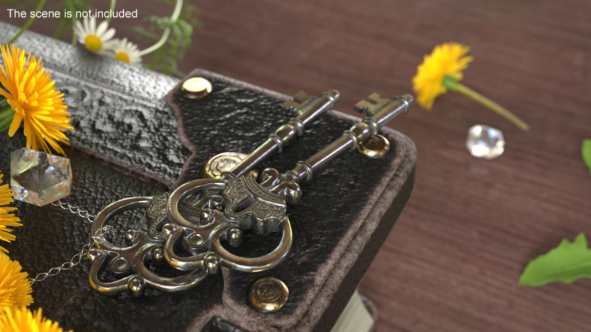 3D model Decorative Skeleton Key Silver