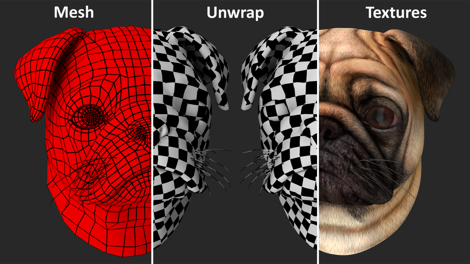 Pug Dog Head 3D