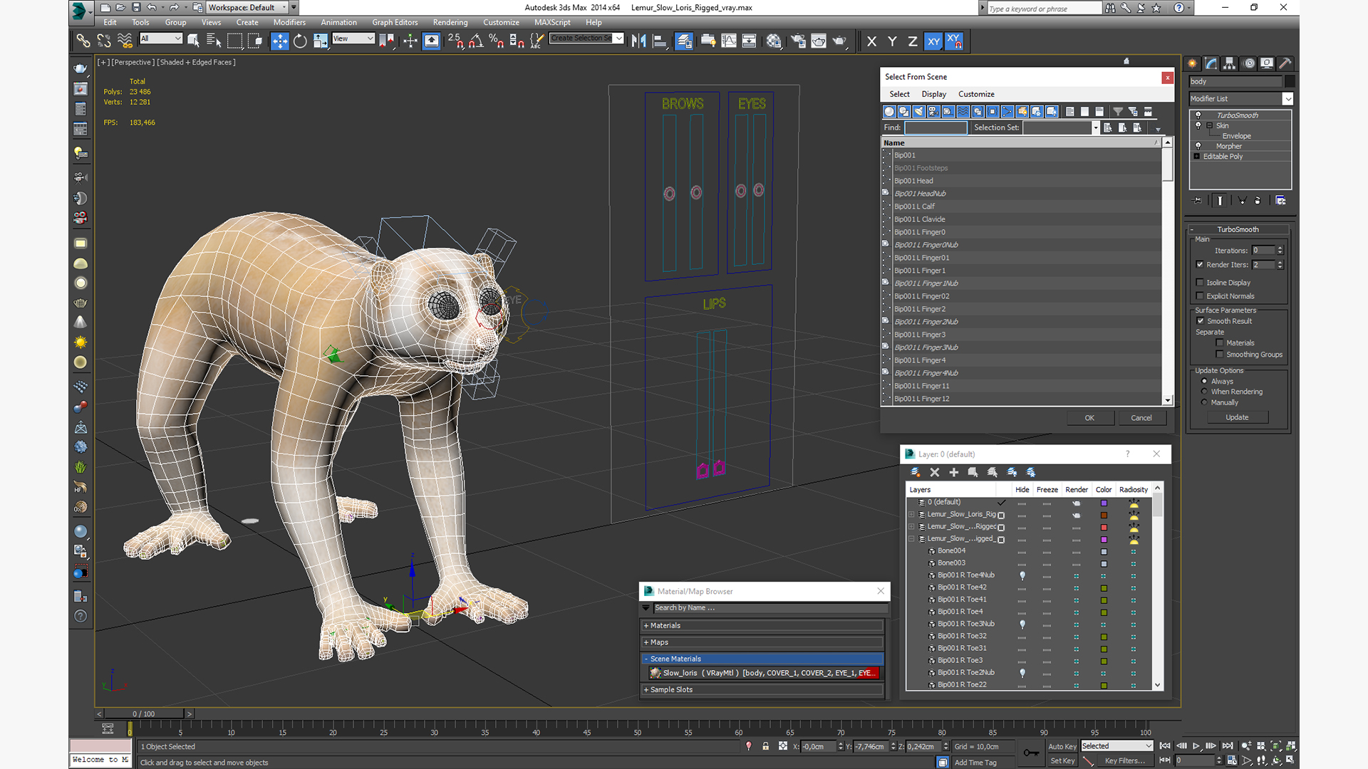 Lemur Slow Loris Rigged for Maya 3D