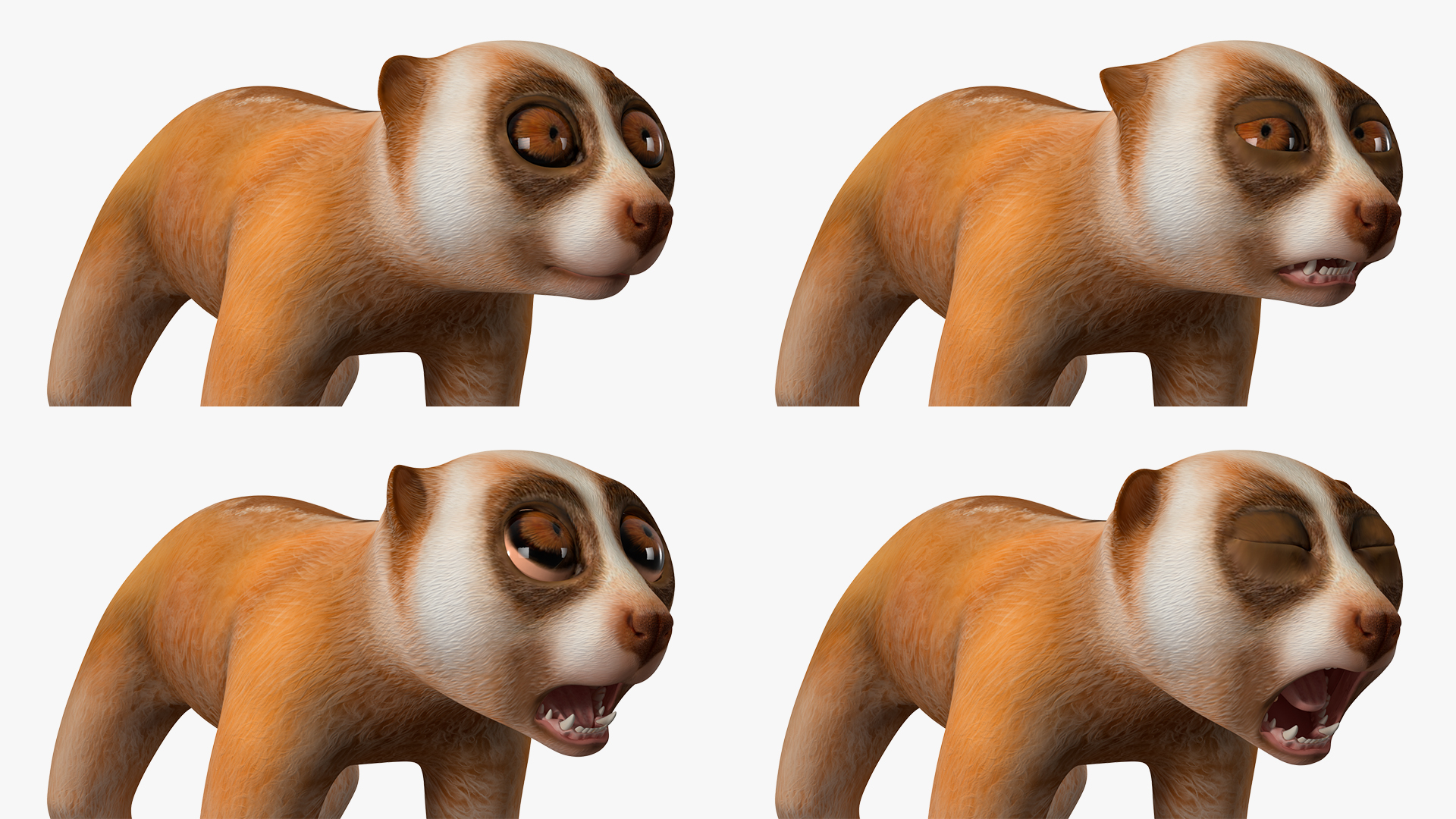 Lemur Slow Loris Rigged for Maya 3D