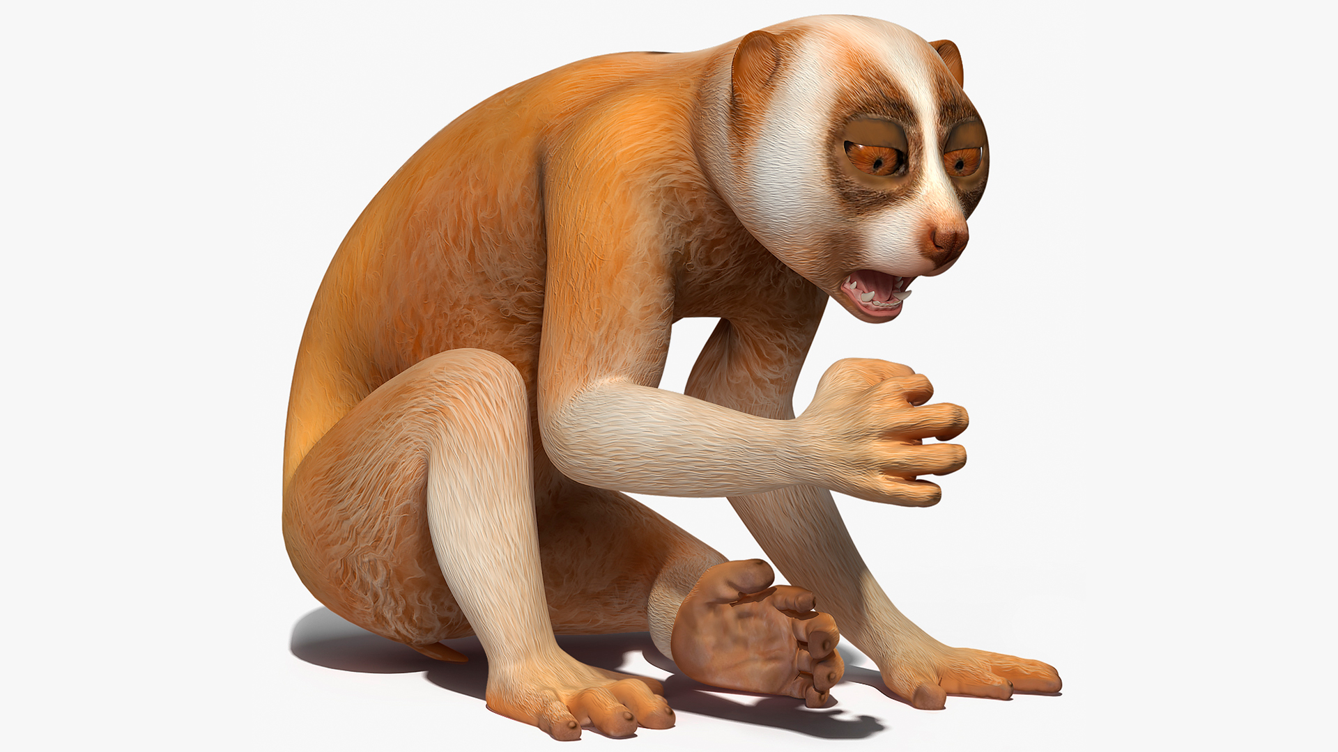 Lemur Slow Loris Rigged for Maya 3D