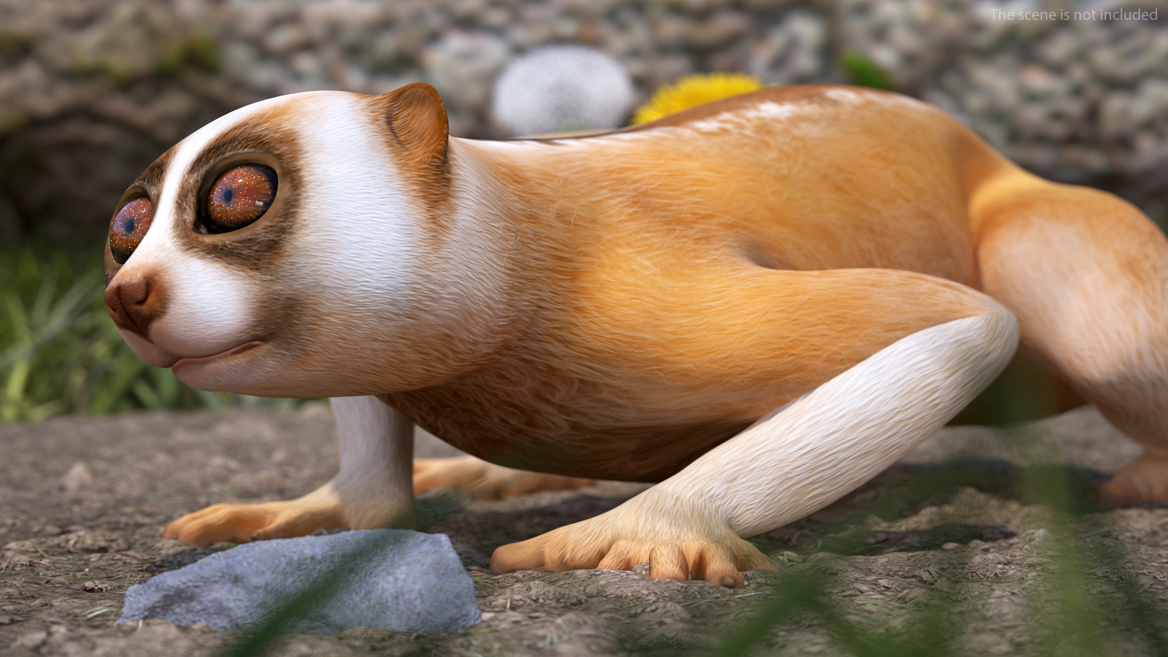 Lemur Slow Loris Rigged for Maya 3D