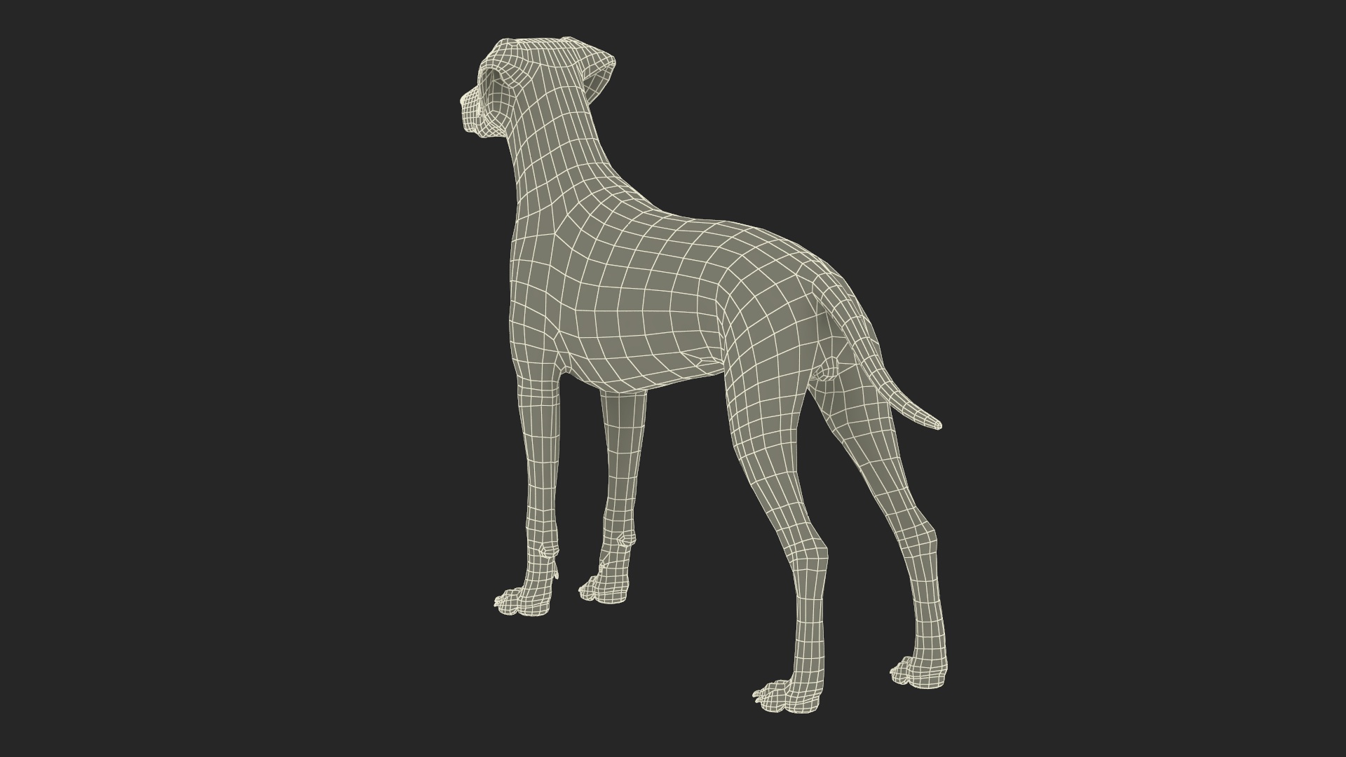 3D Dalmatian Dog model