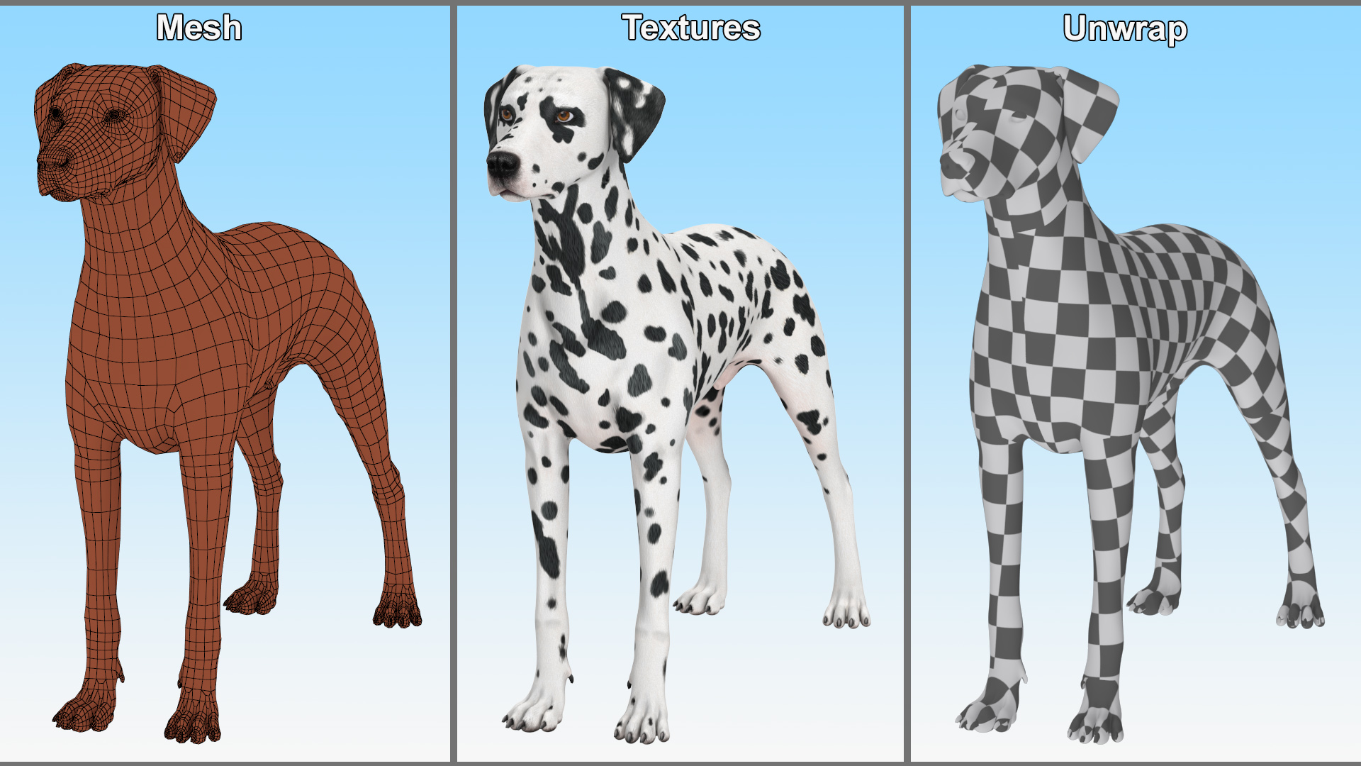 3D Dalmatian Dog model