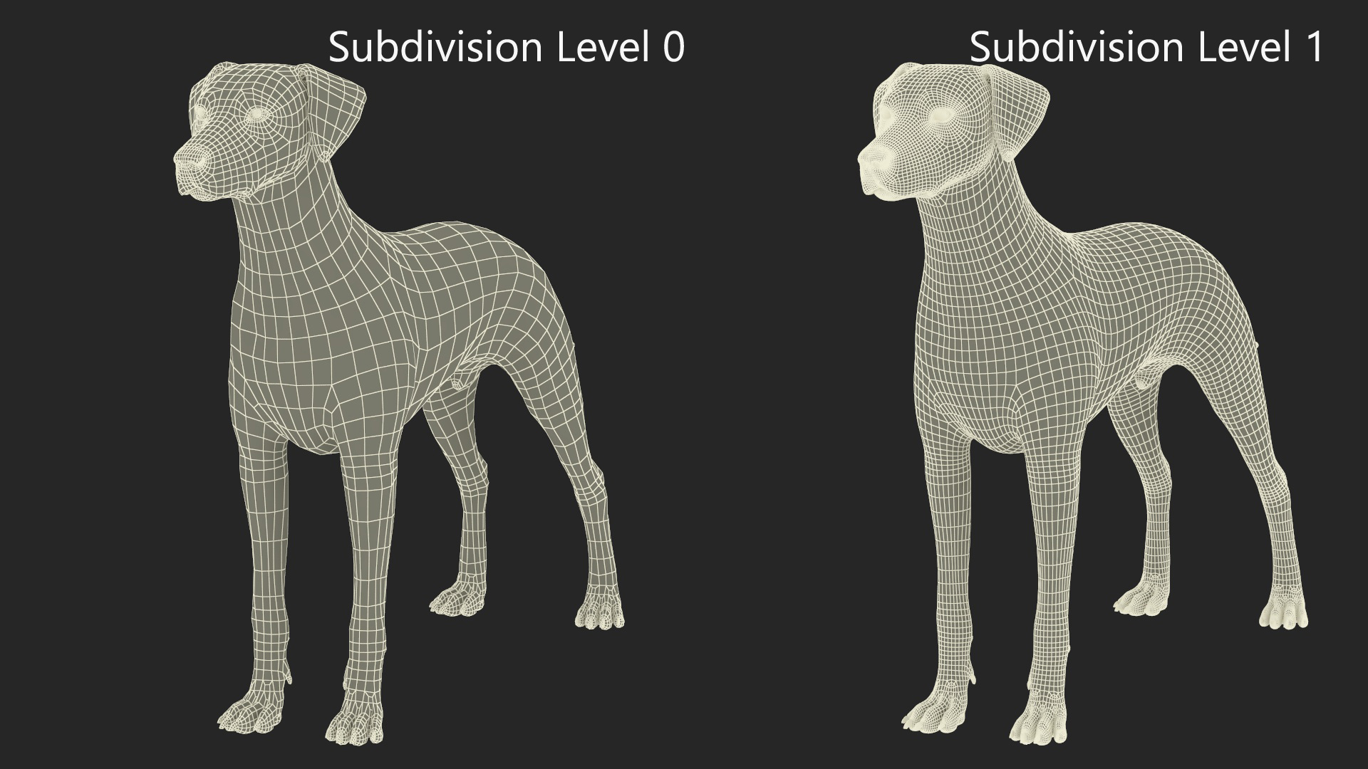 3D Dalmatian Dog model