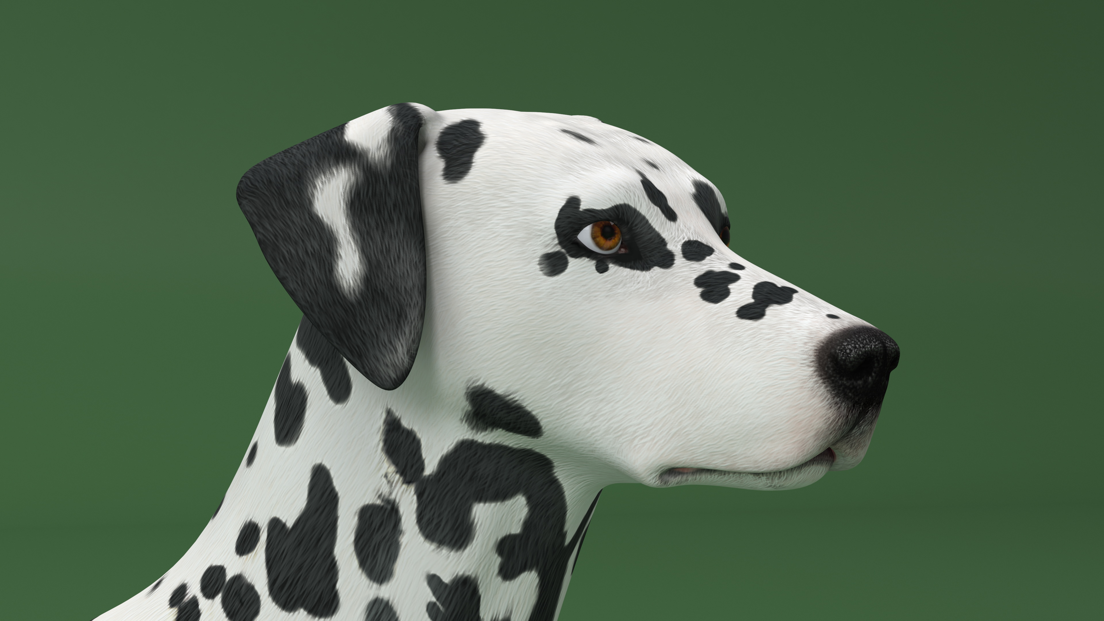 3D Dalmatian Dog model