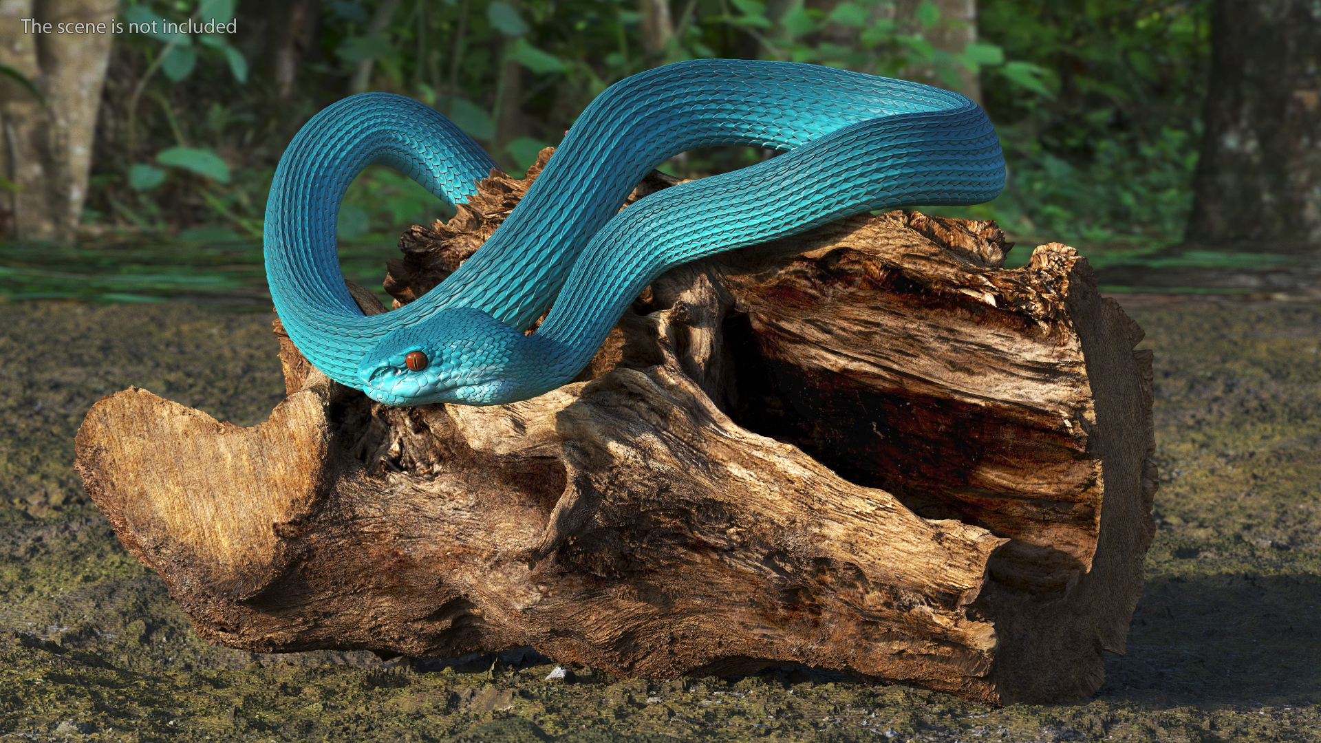 Hanging Trunk Blue Snake Trimeresurus 3D