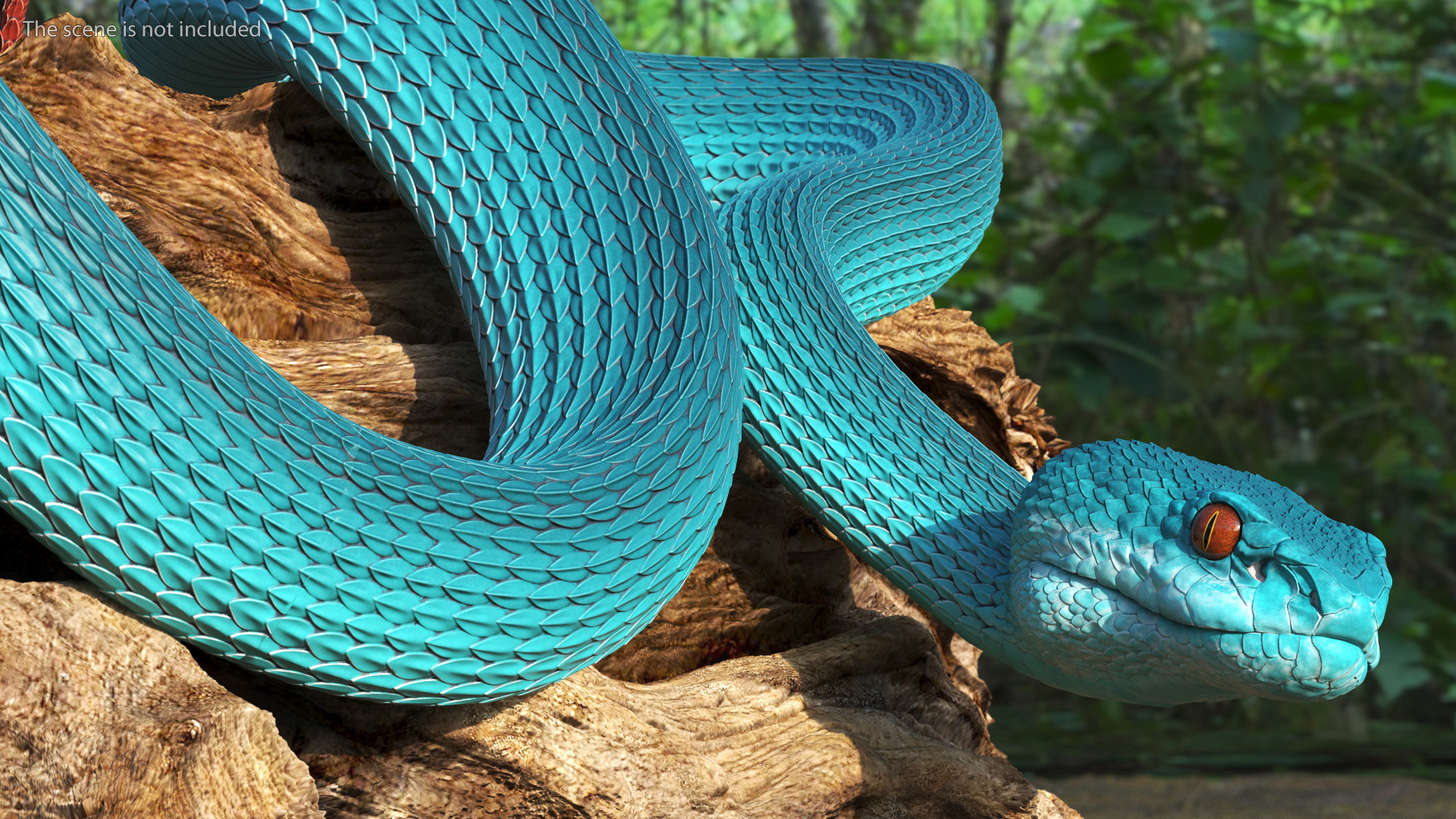 Hanging Trunk Blue Snake Trimeresurus 3D