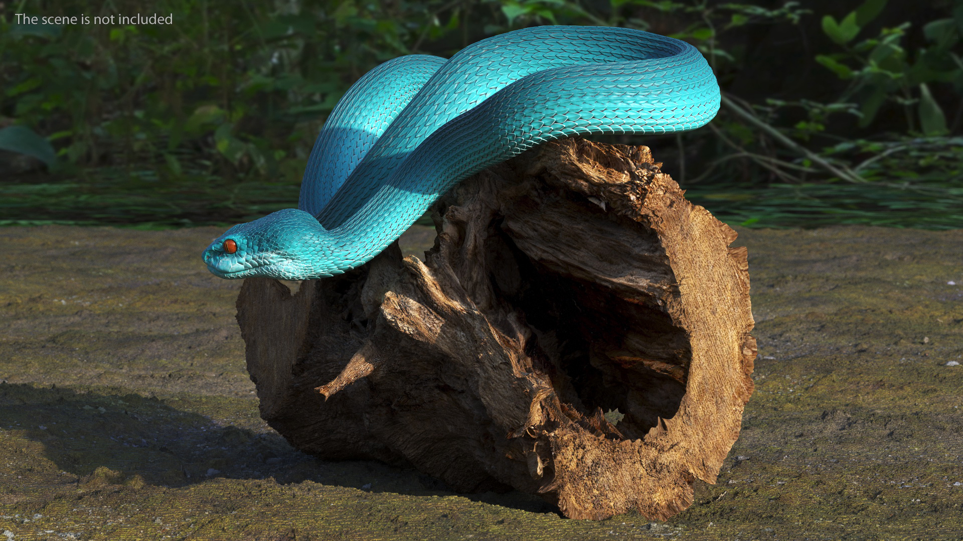 Hanging Trunk Blue Snake Trimeresurus 3D