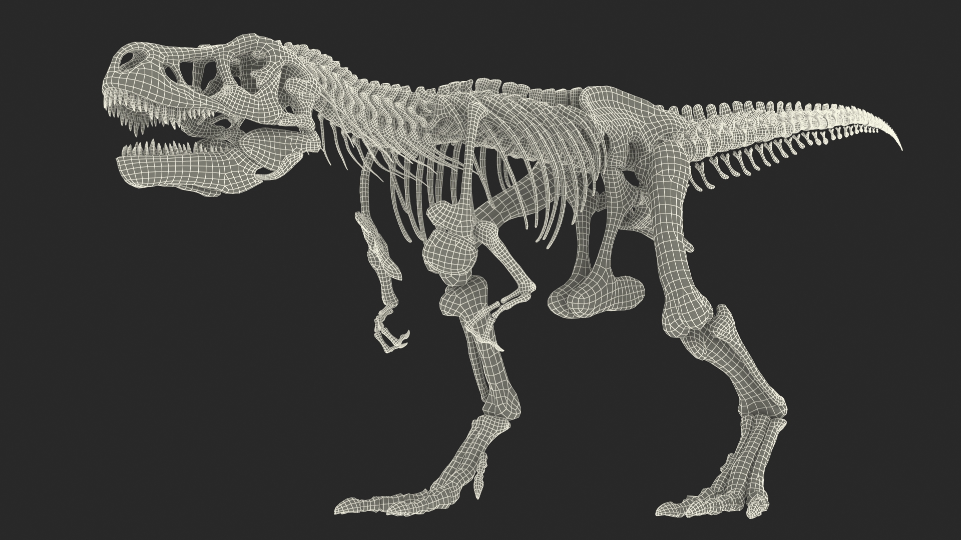 3D model Tyrannosaurus Rex Skeleton Fossil Rigged