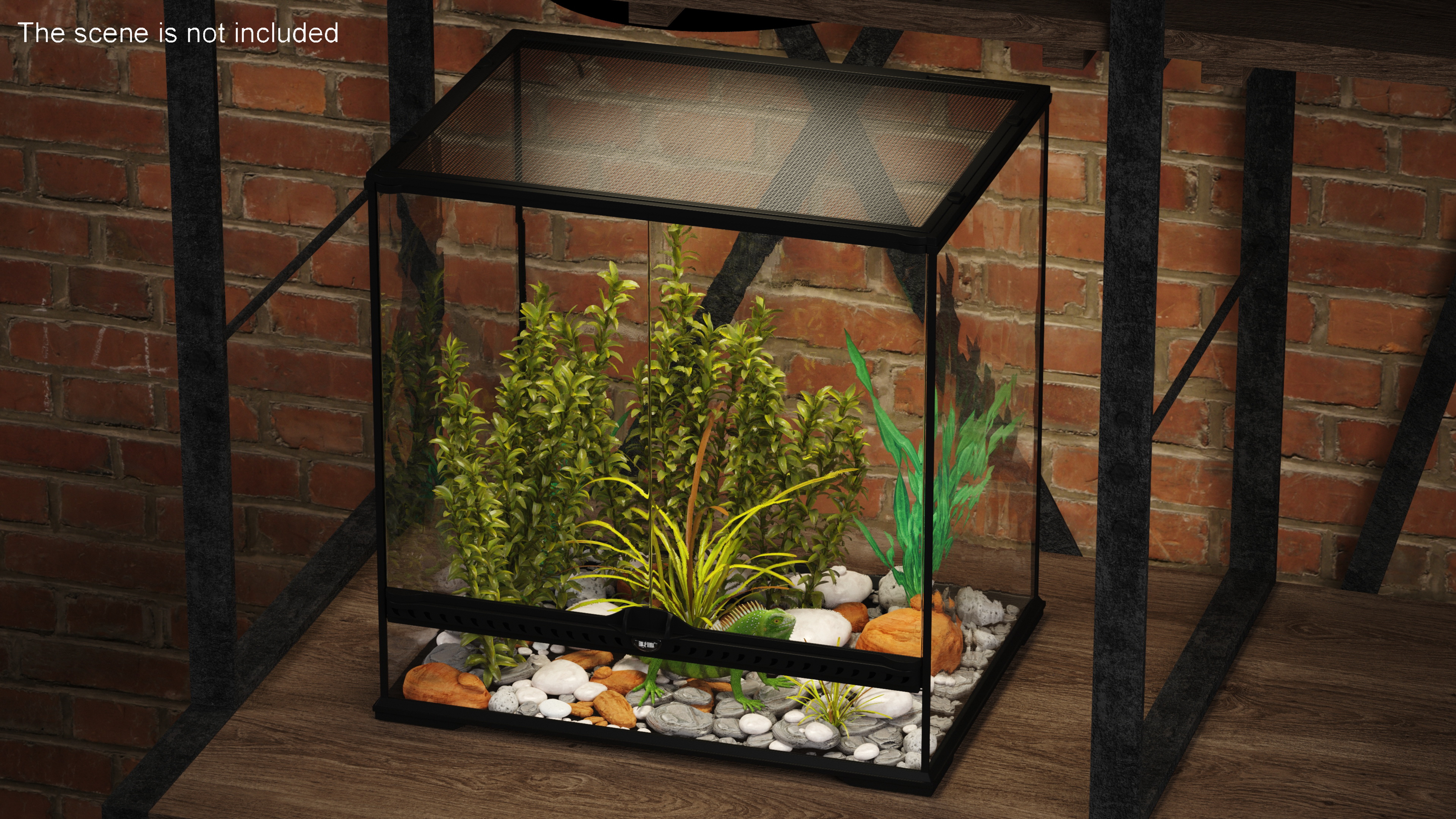 Big Terrarium with Plants and Green Lizard 3D