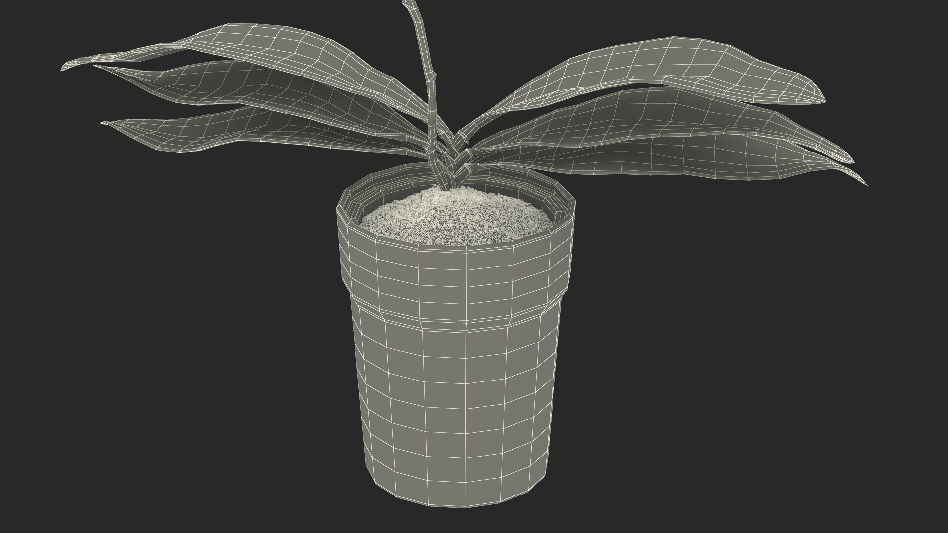 3D model Orchid Pot