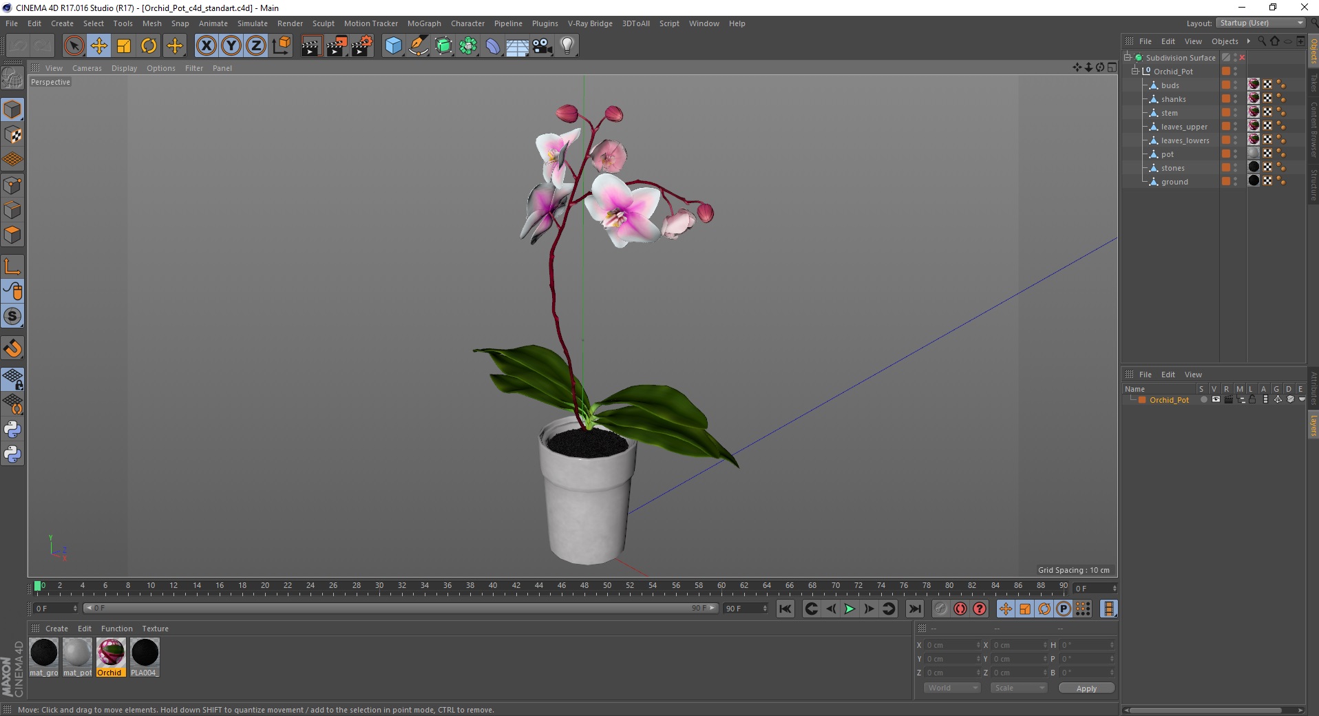 3D model Orchid Pot