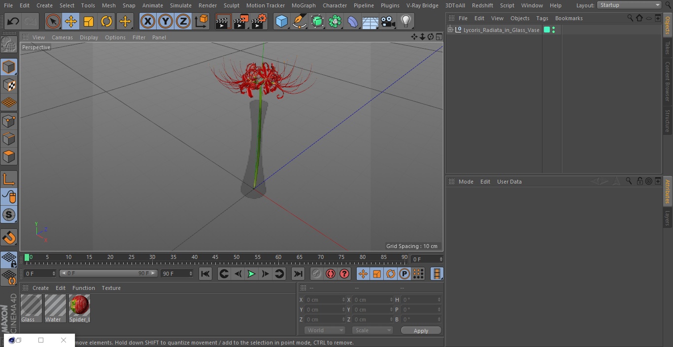 Lycoris Radiata in Glass Vase 3D model