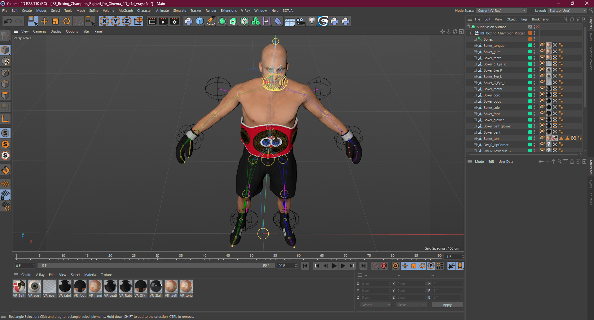 3D model IBF Boxing Champion Rigged for Cinema 4D