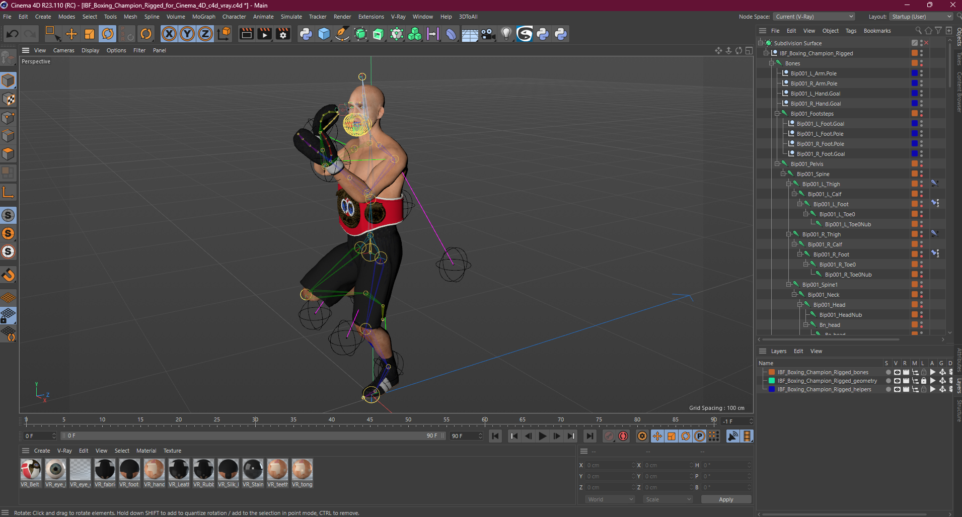 3D model IBF Boxing Champion Rigged for Cinema 4D