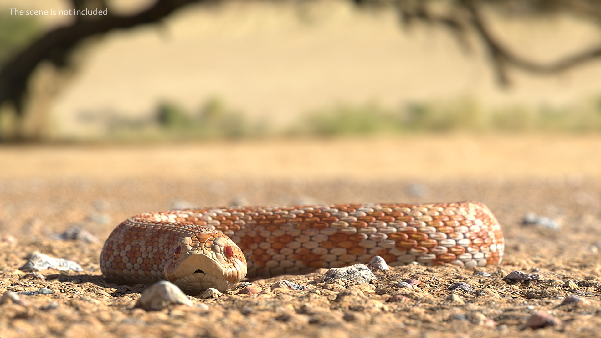 Hognose Snake Crawling 3D