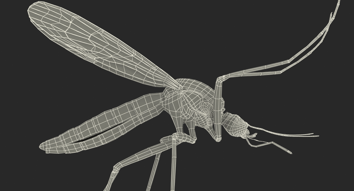 3D model Mosquito Pose 4