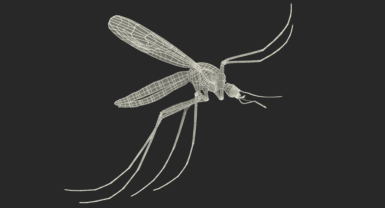 3D model Mosquito Pose 4