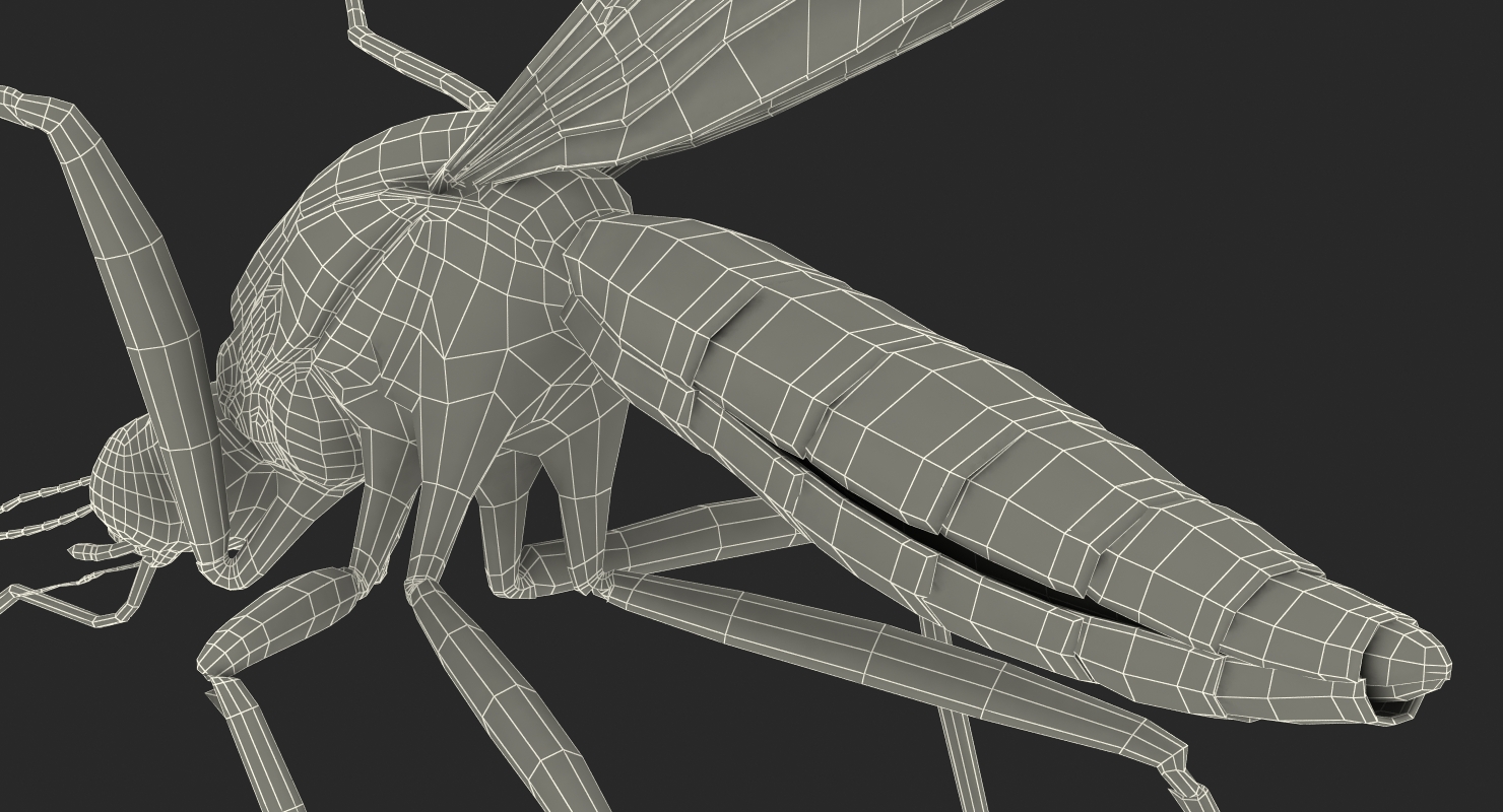 3D model Mosquito Pose 4