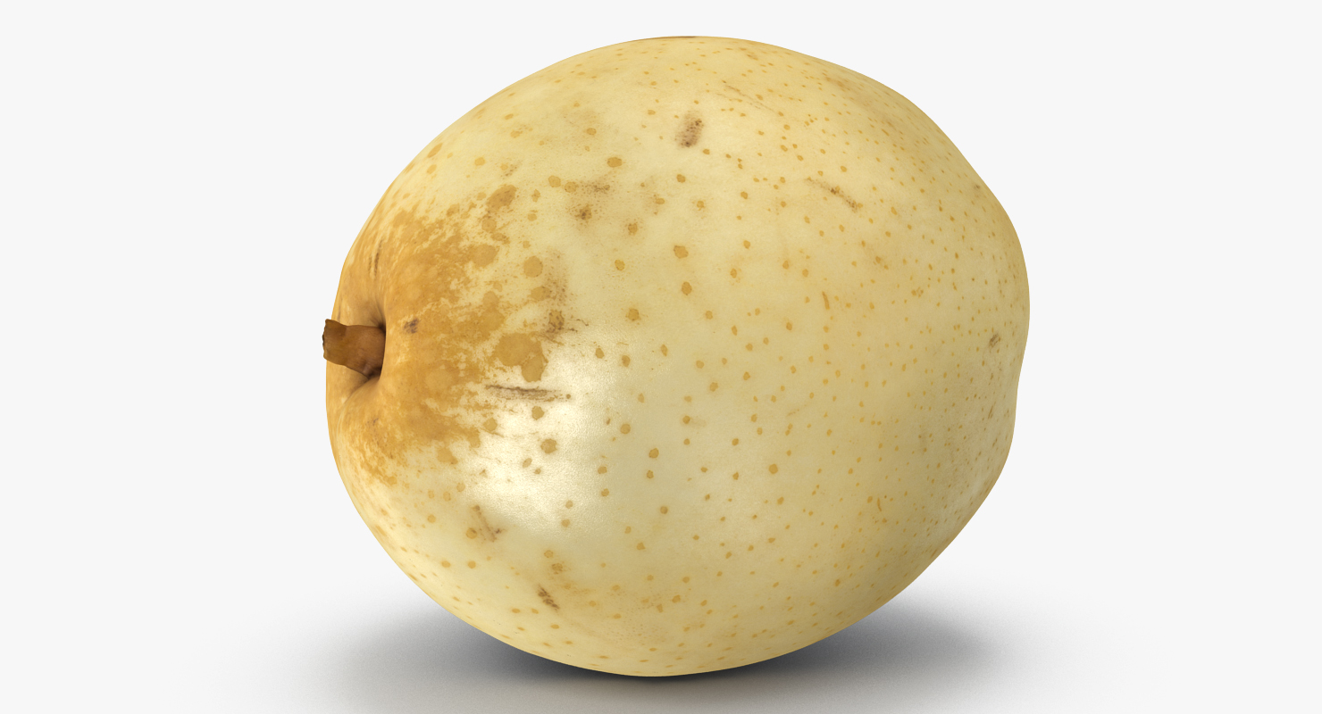 3D model Nashi Pear