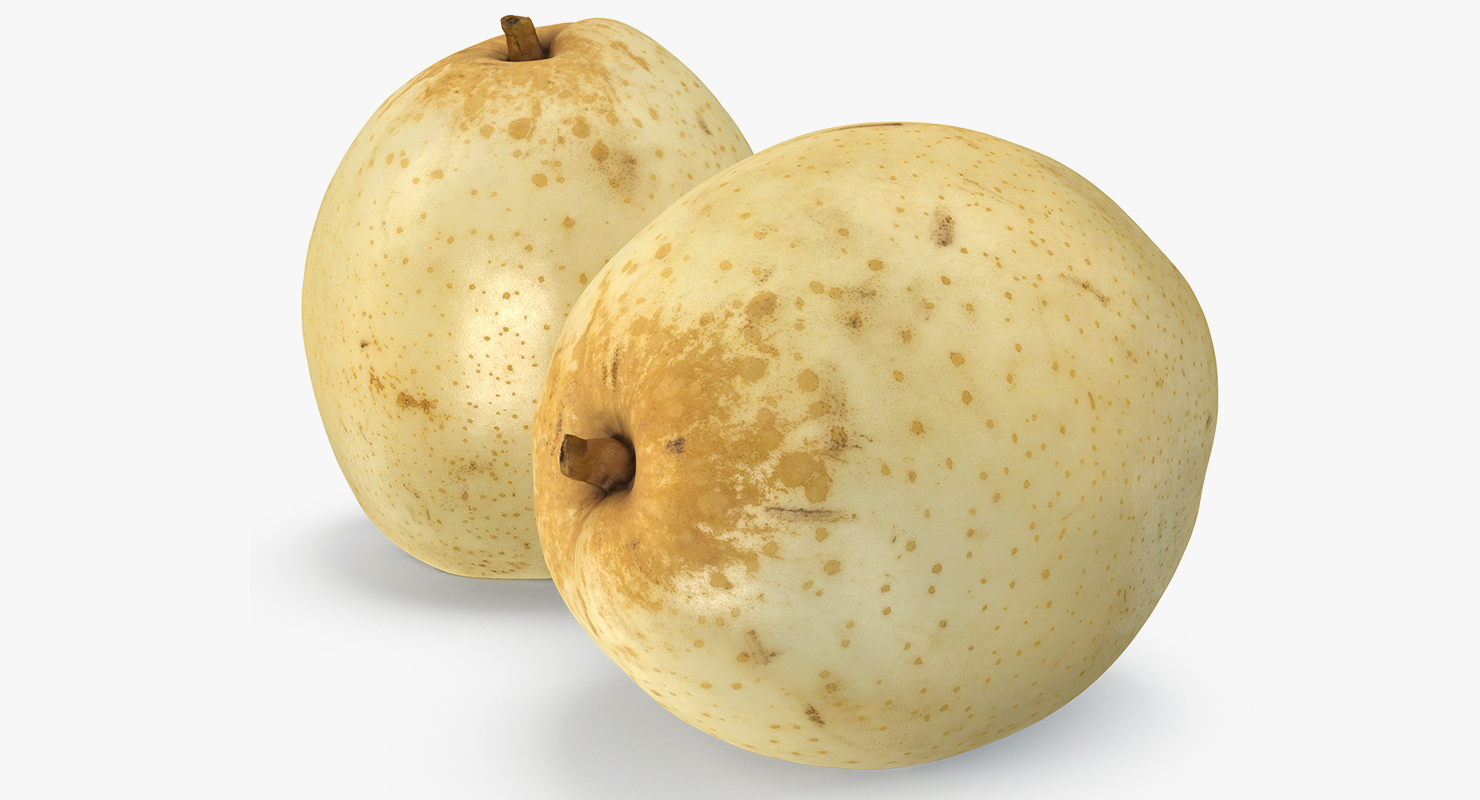 3D model Nashi Pear