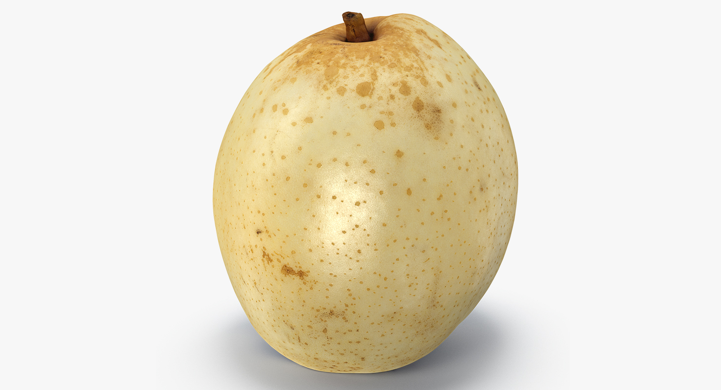 3D model Nashi Pear