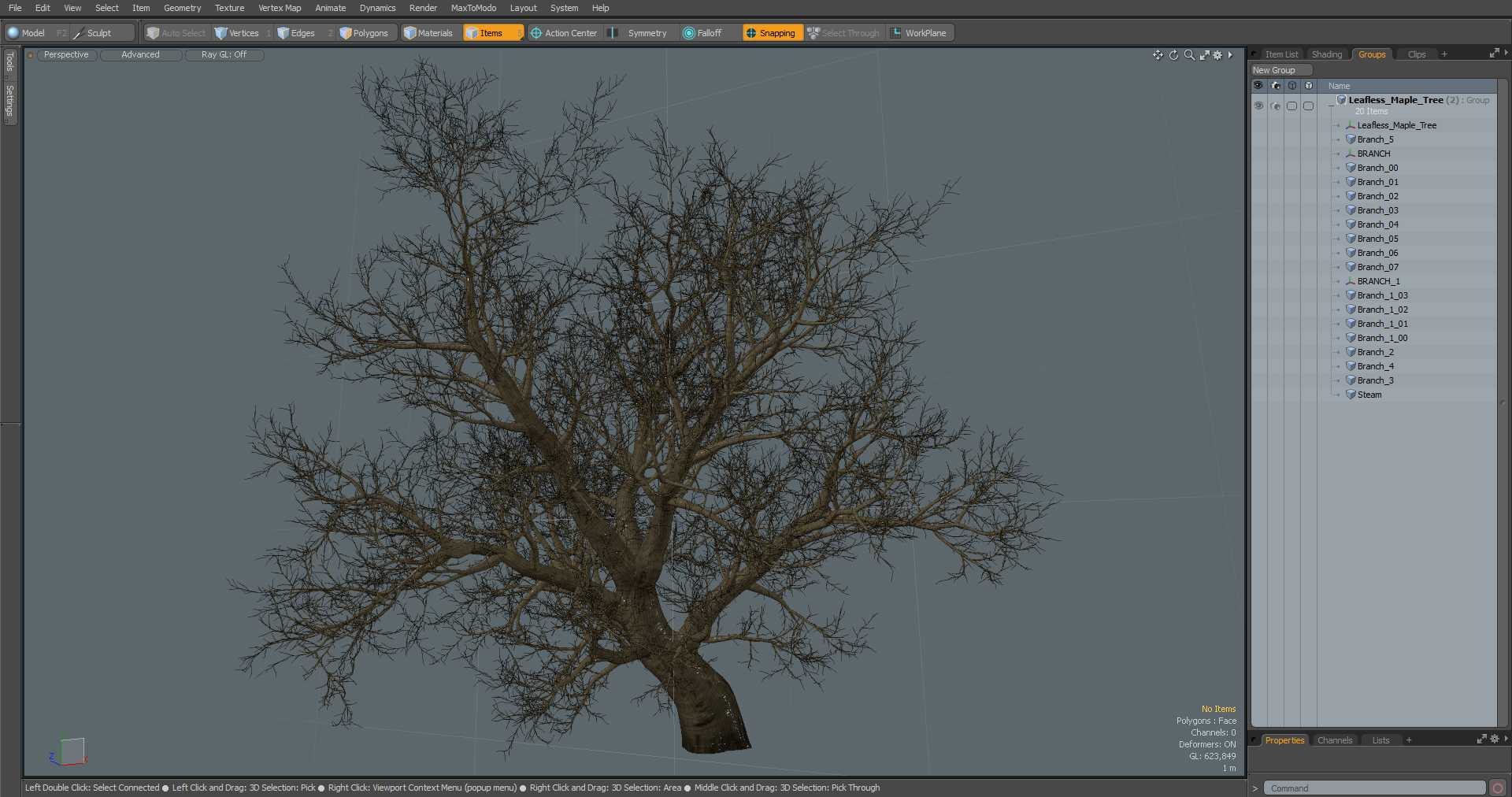 Leafless Maple Tree 3D model