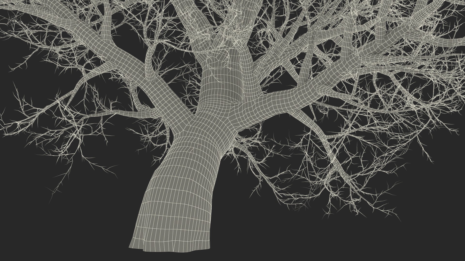 Leafless Maple Tree 3D model