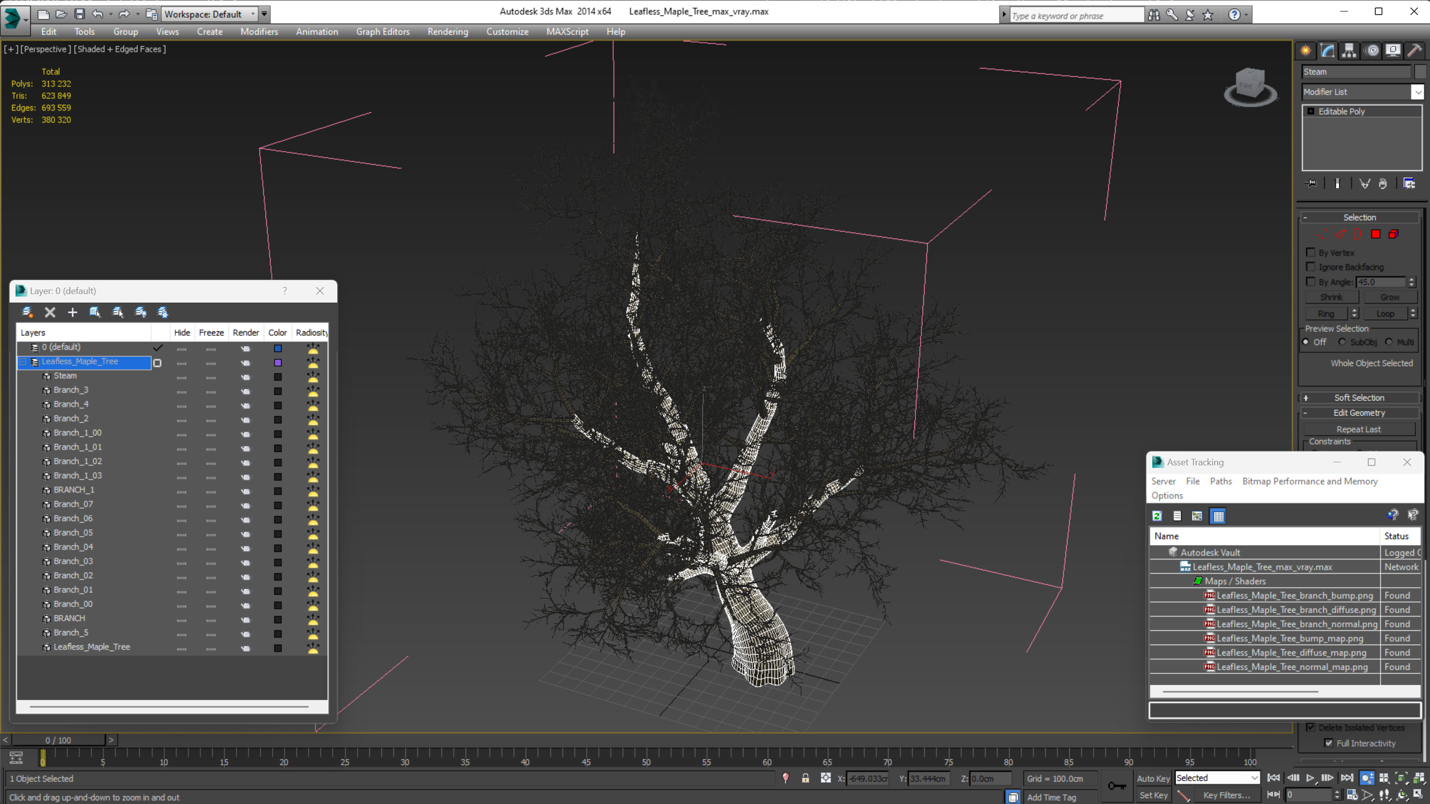 Leafless Maple Tree 3D model