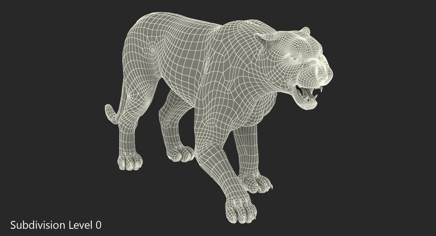 3D model White Tiger Roar with Fur