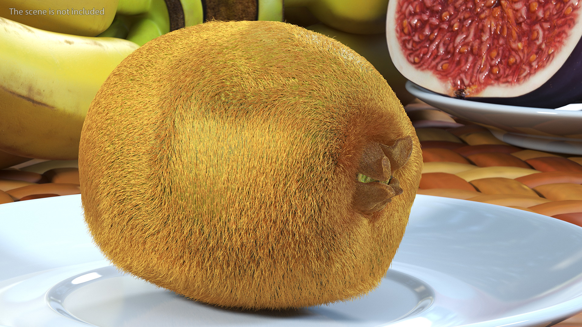 Kiwi Fruit with Fur 3D model