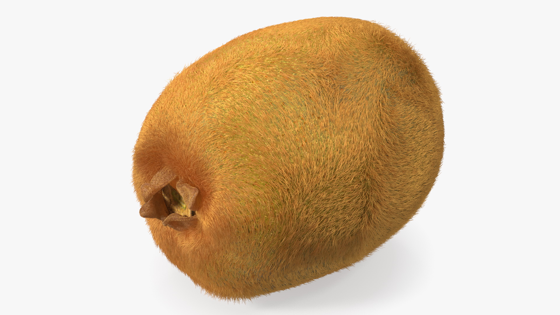 Kiwi Fruit with Fur 3D model