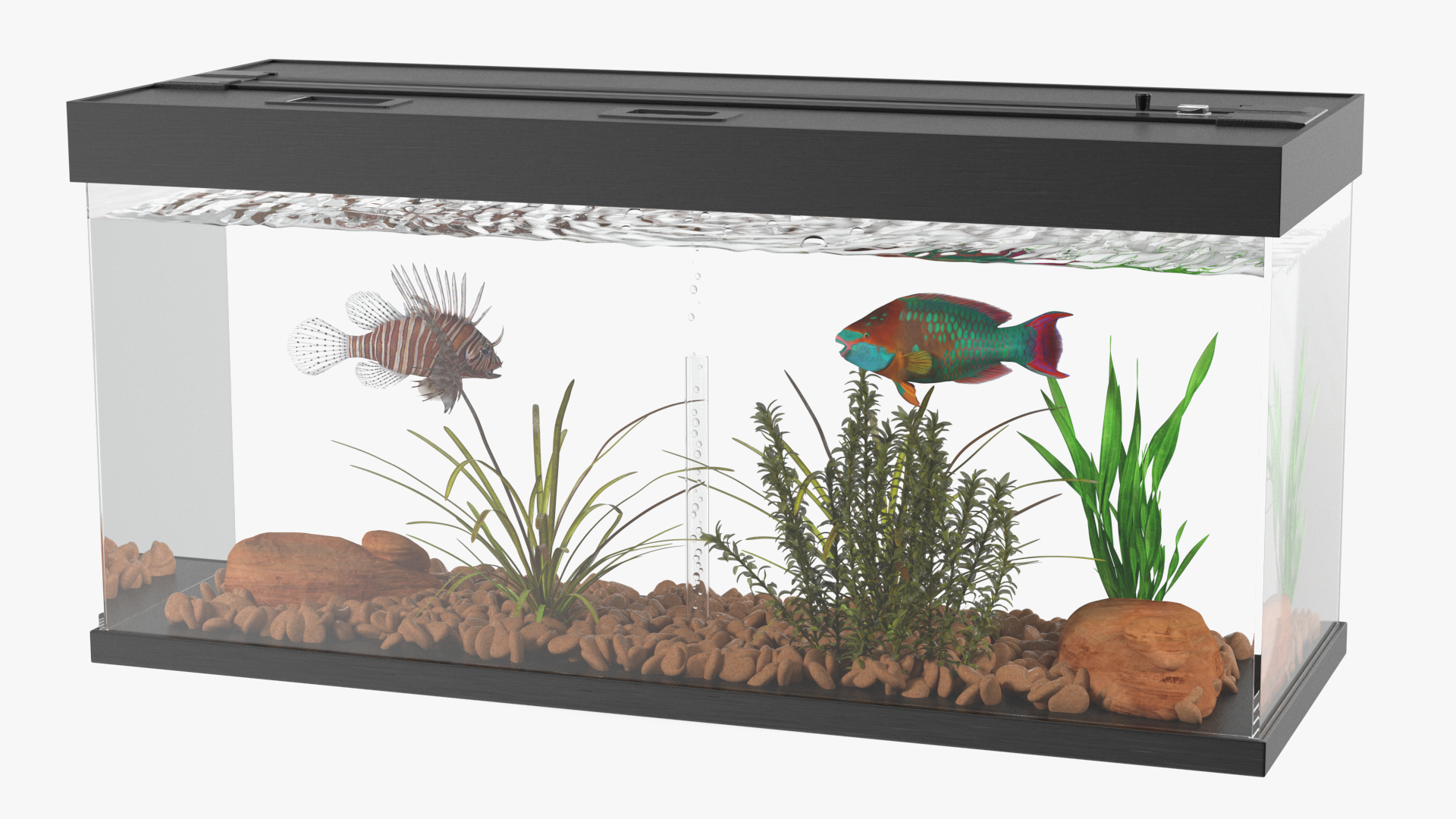 Aquarium Long Black 3D model