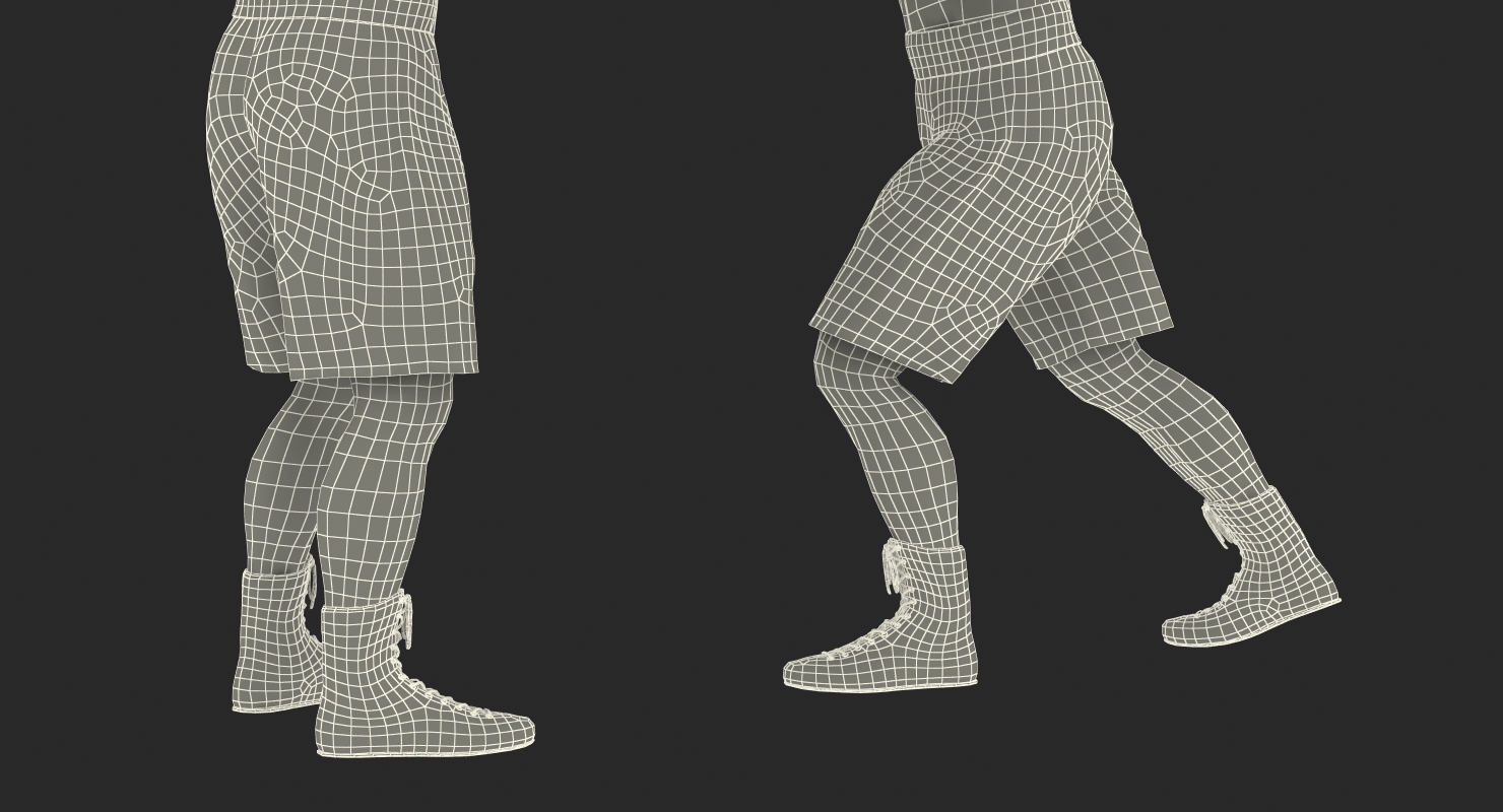 3D model Two Boxers